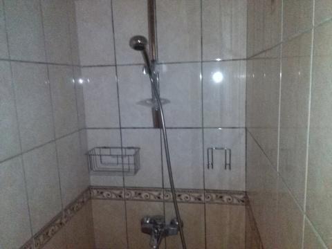 Фото Альбатрос