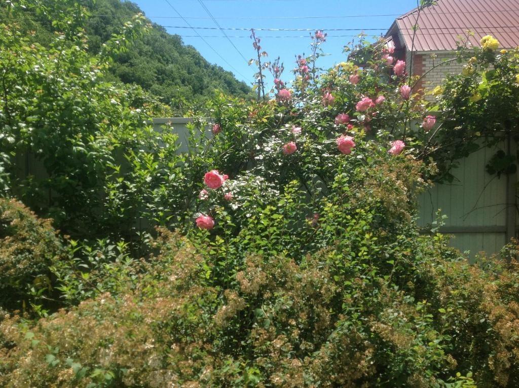 Фото Green House