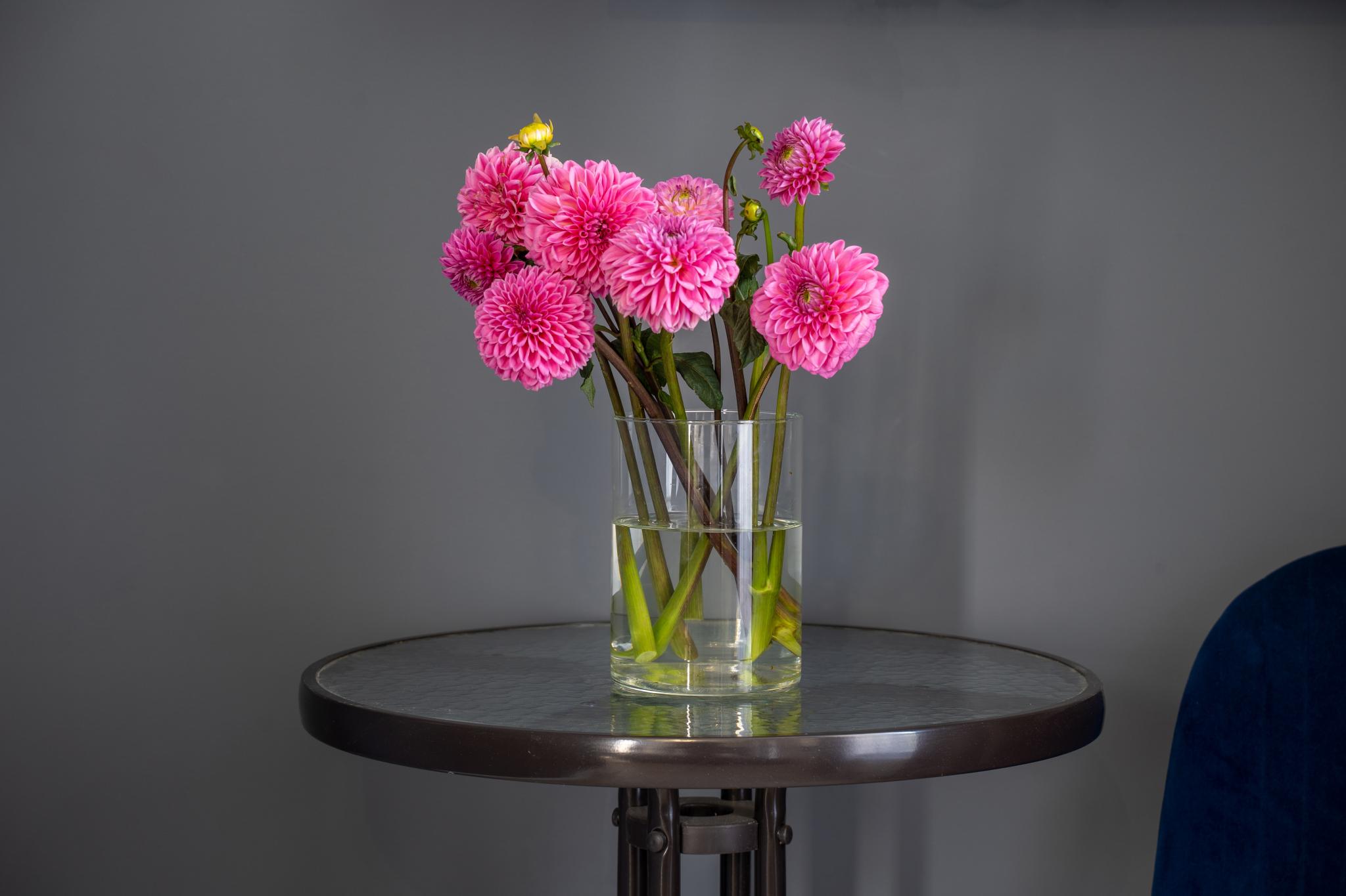 Фото Сказка