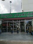 Ilayda Cicekcilik (Ankara Province, Cankaya District, Isci Bloklari Neighborhood, 1516th Avenue, 39) ، محل زهور