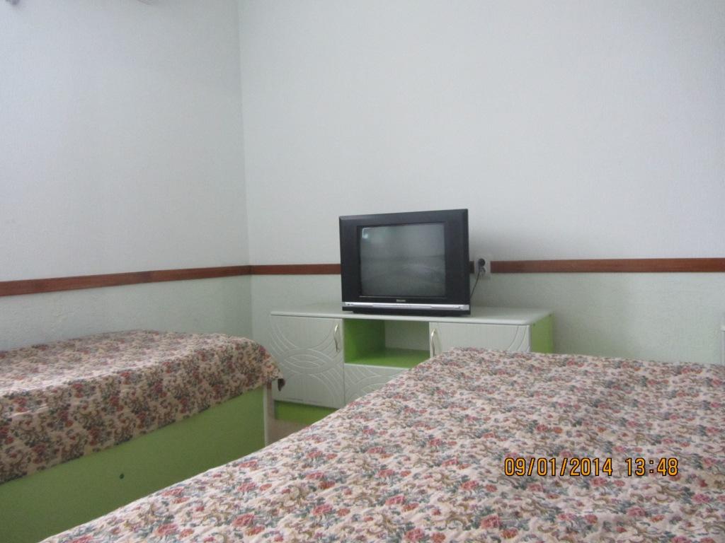 Фото Большая медведица