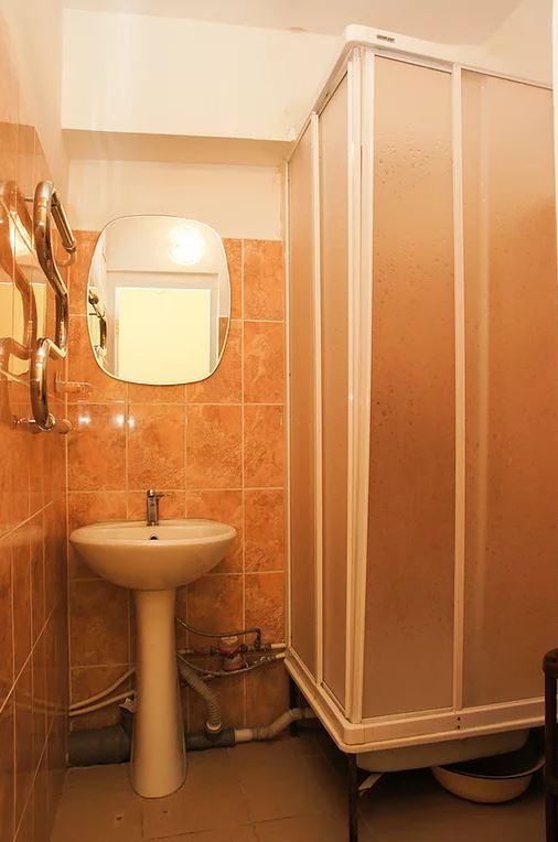 Фото Дружба