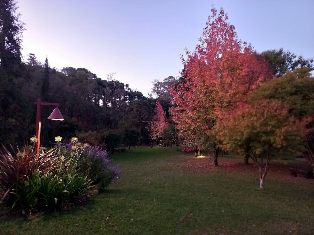 Фото Sítio Cogumelos Montanhês