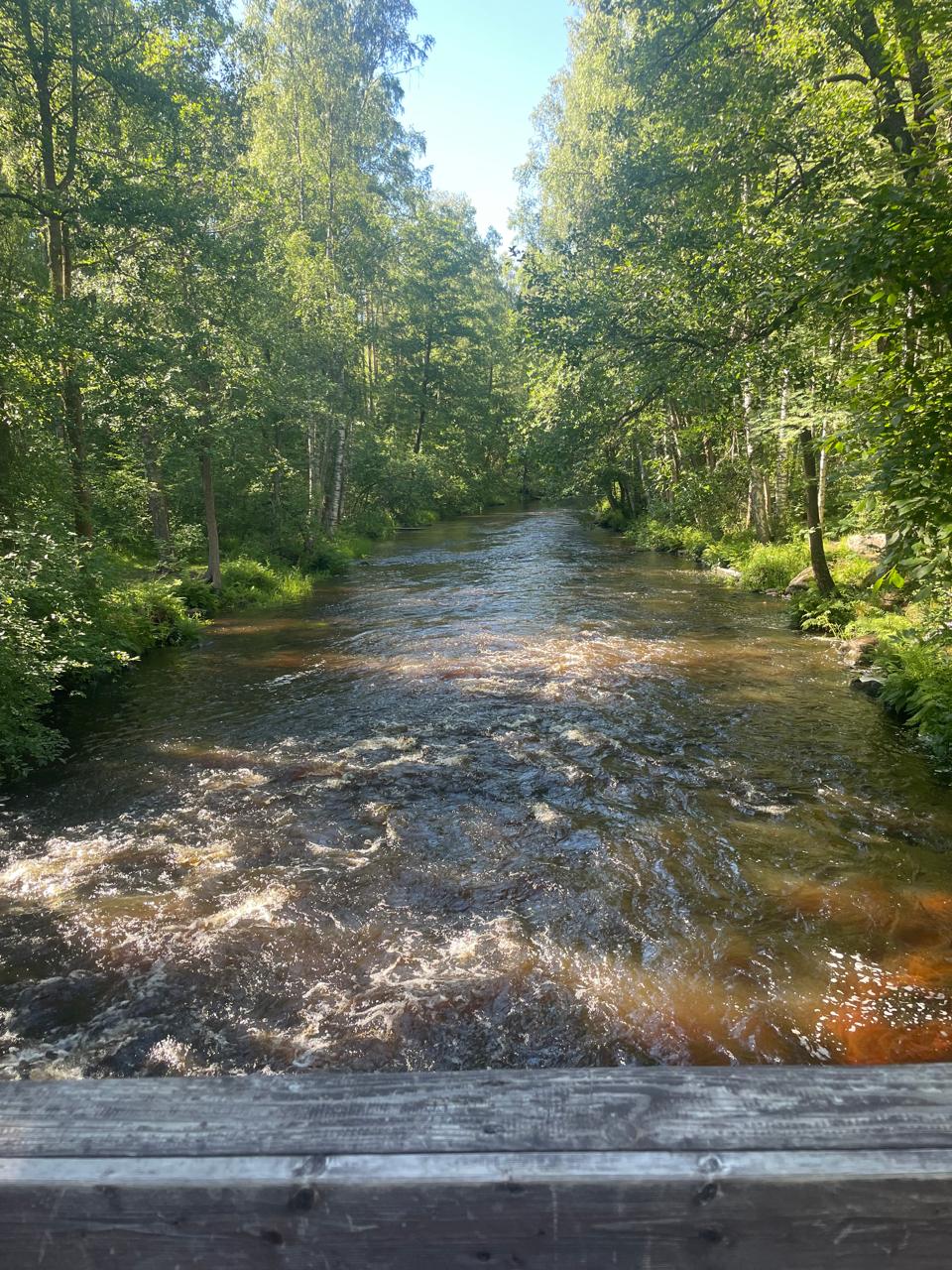 Фото Sosnovka house