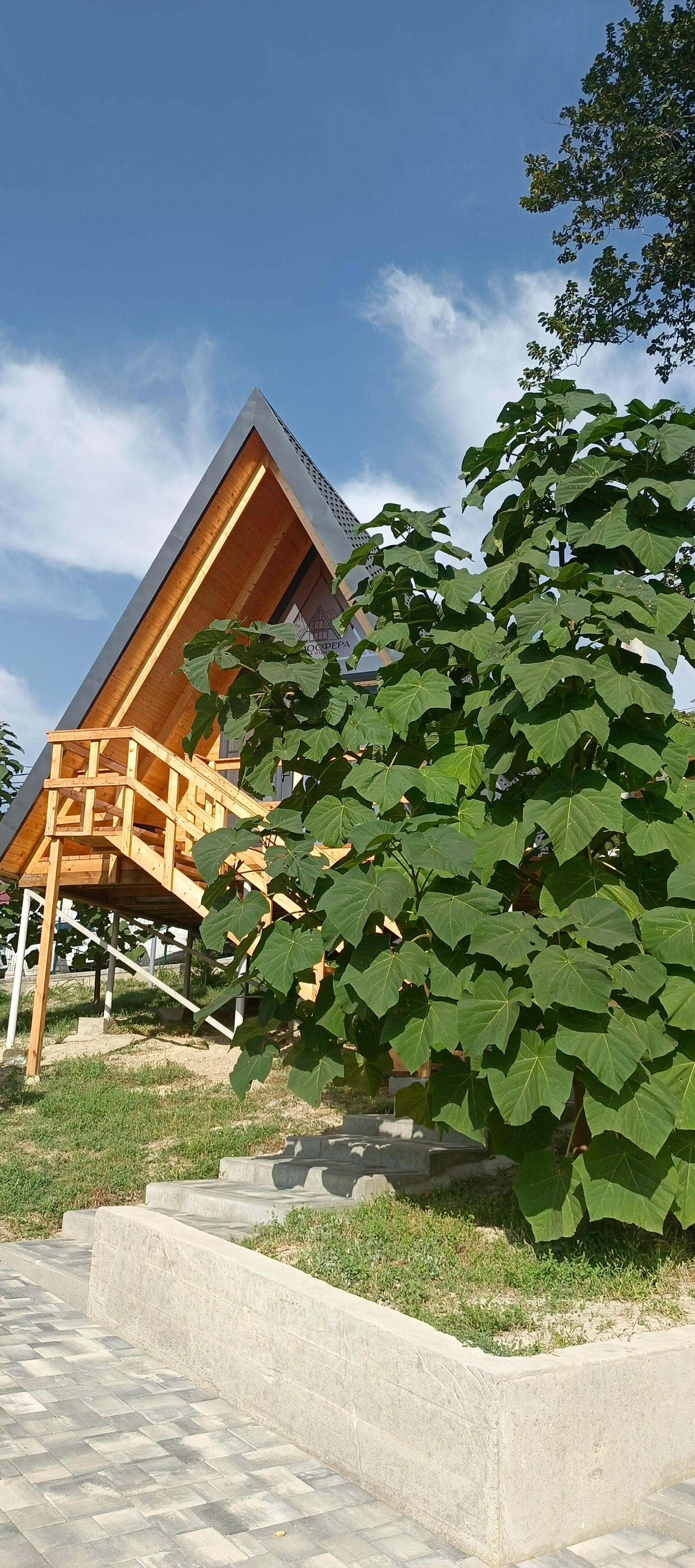 Фото Атмосфера