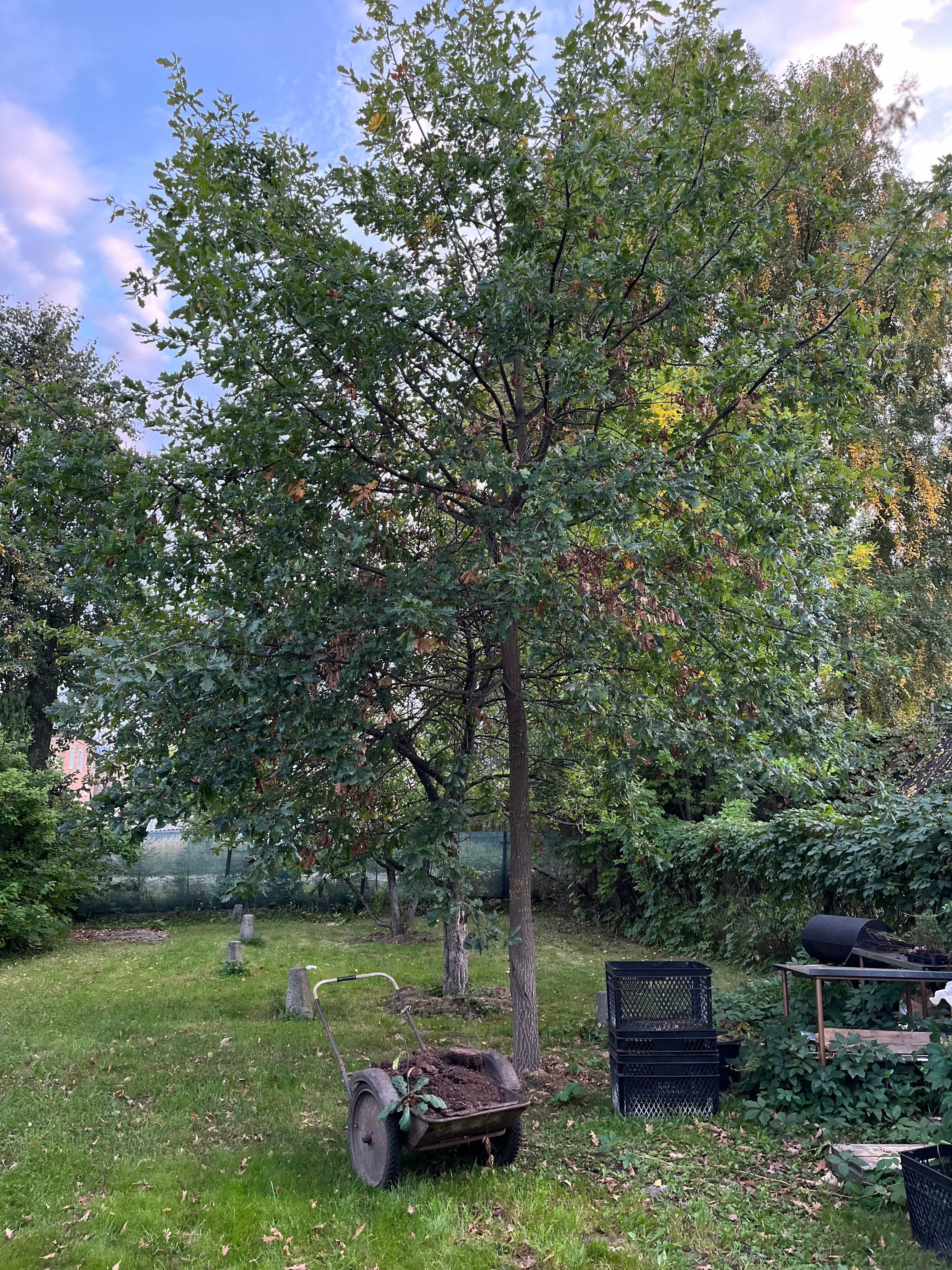 Фото Павликов Дом