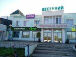 Payment terminal (Vesennyaya ulitsa, 24А), payment terminal
