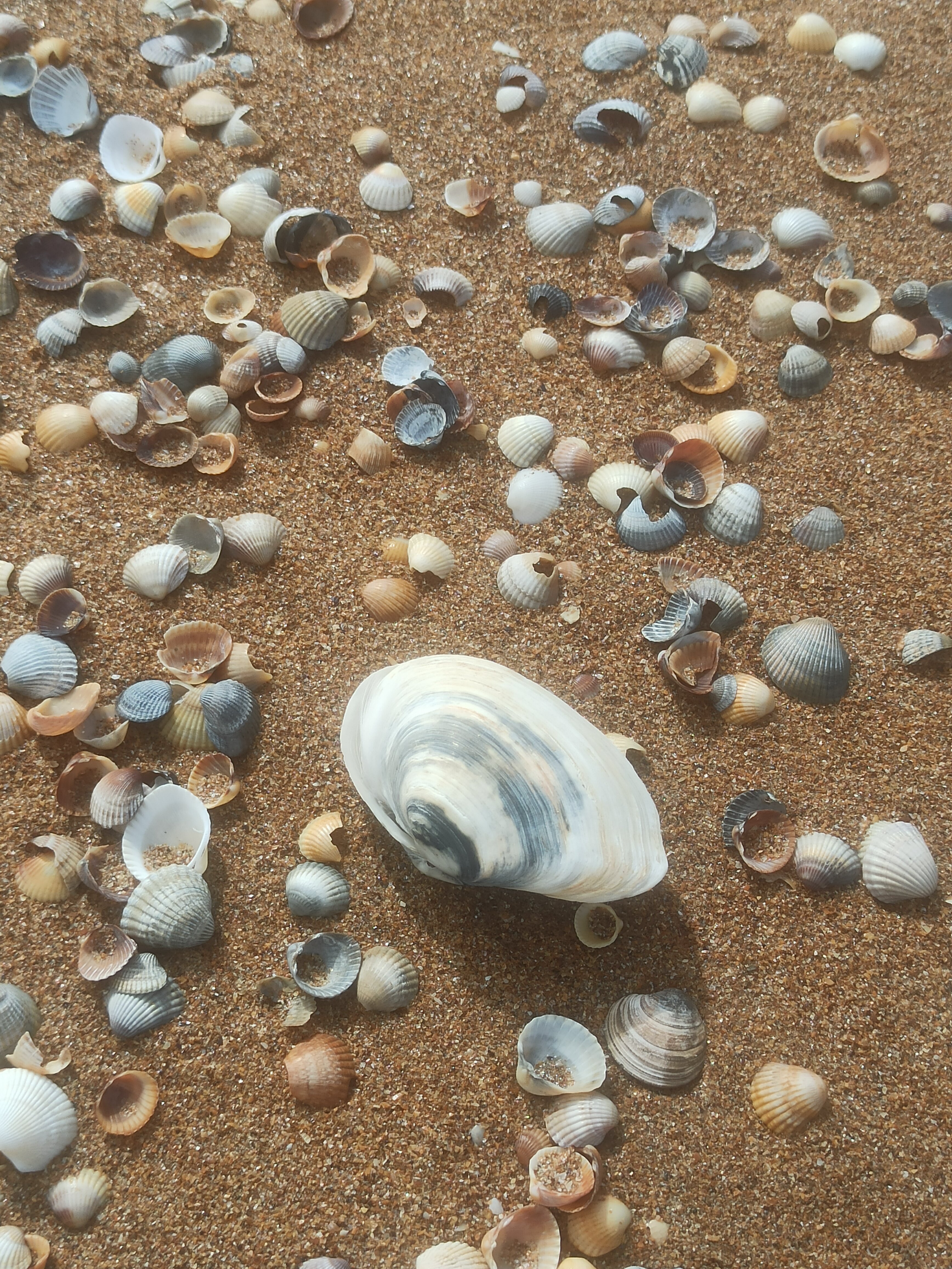 Фото Марианна