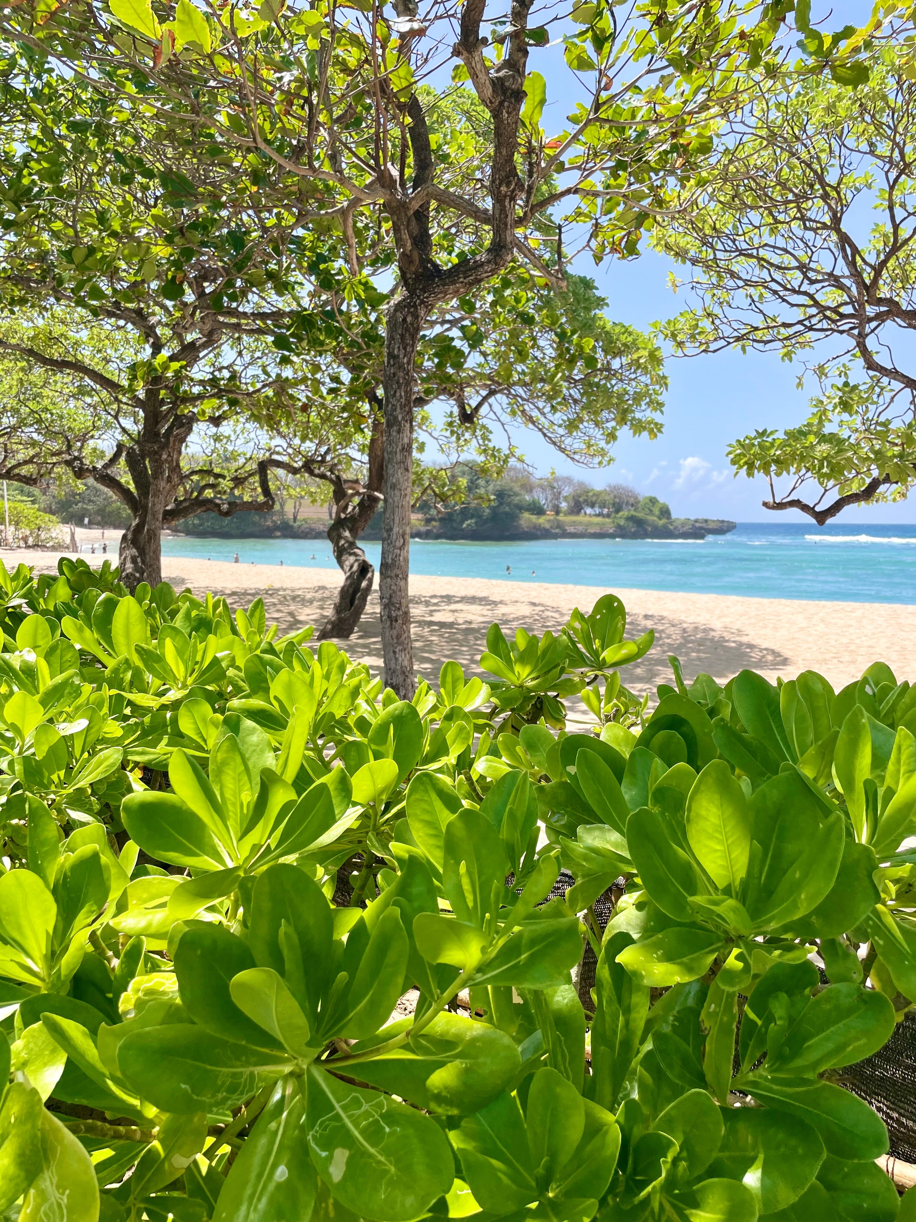 Фото Mercure Bali Nusa Dua