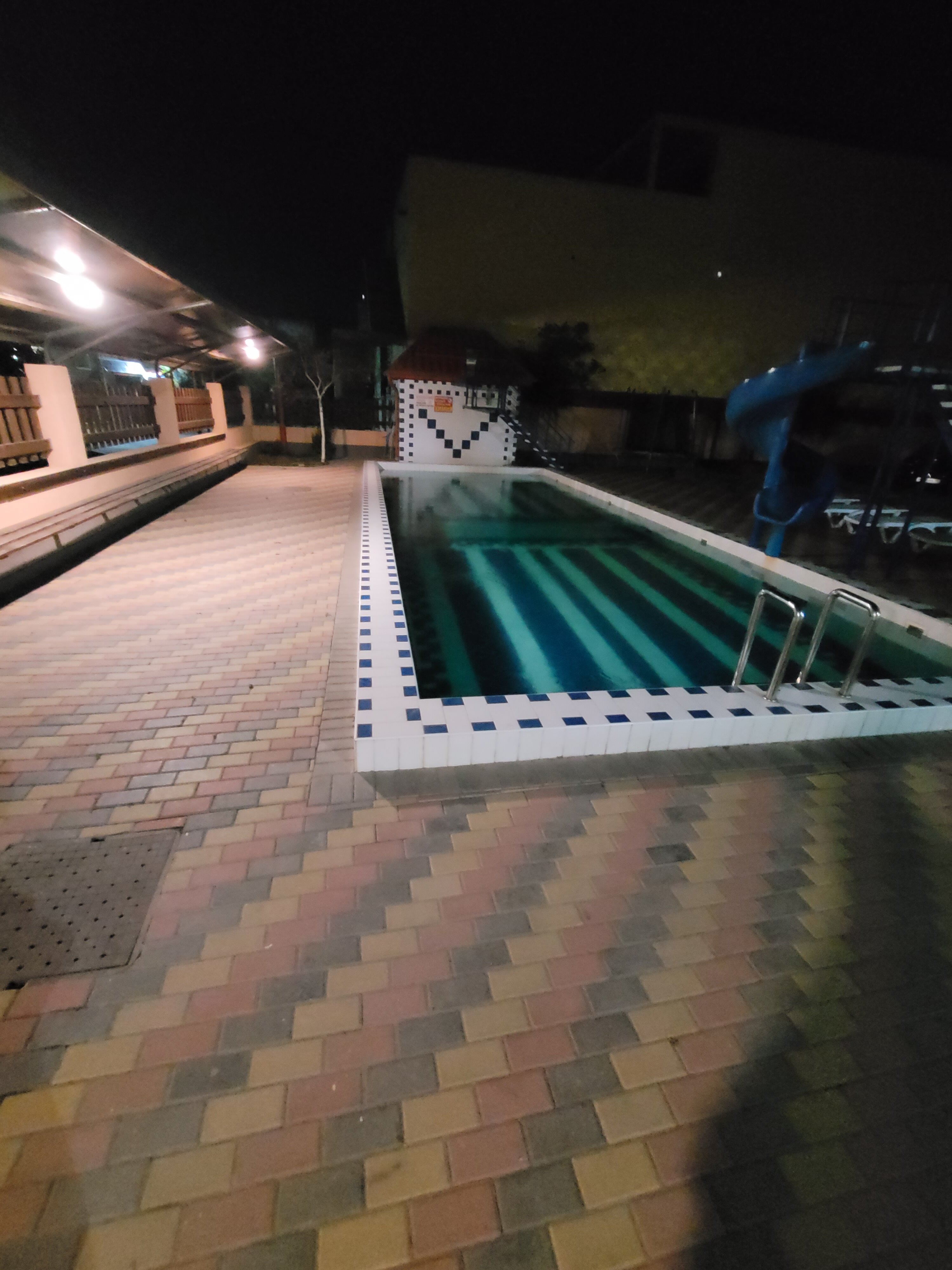 Фото Фламинго