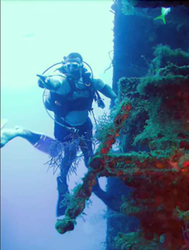 Фото Bell Channel Inn Hotel