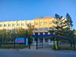Accounting Services Office (Ýrojaınaıa kóshesi, 16), accountants