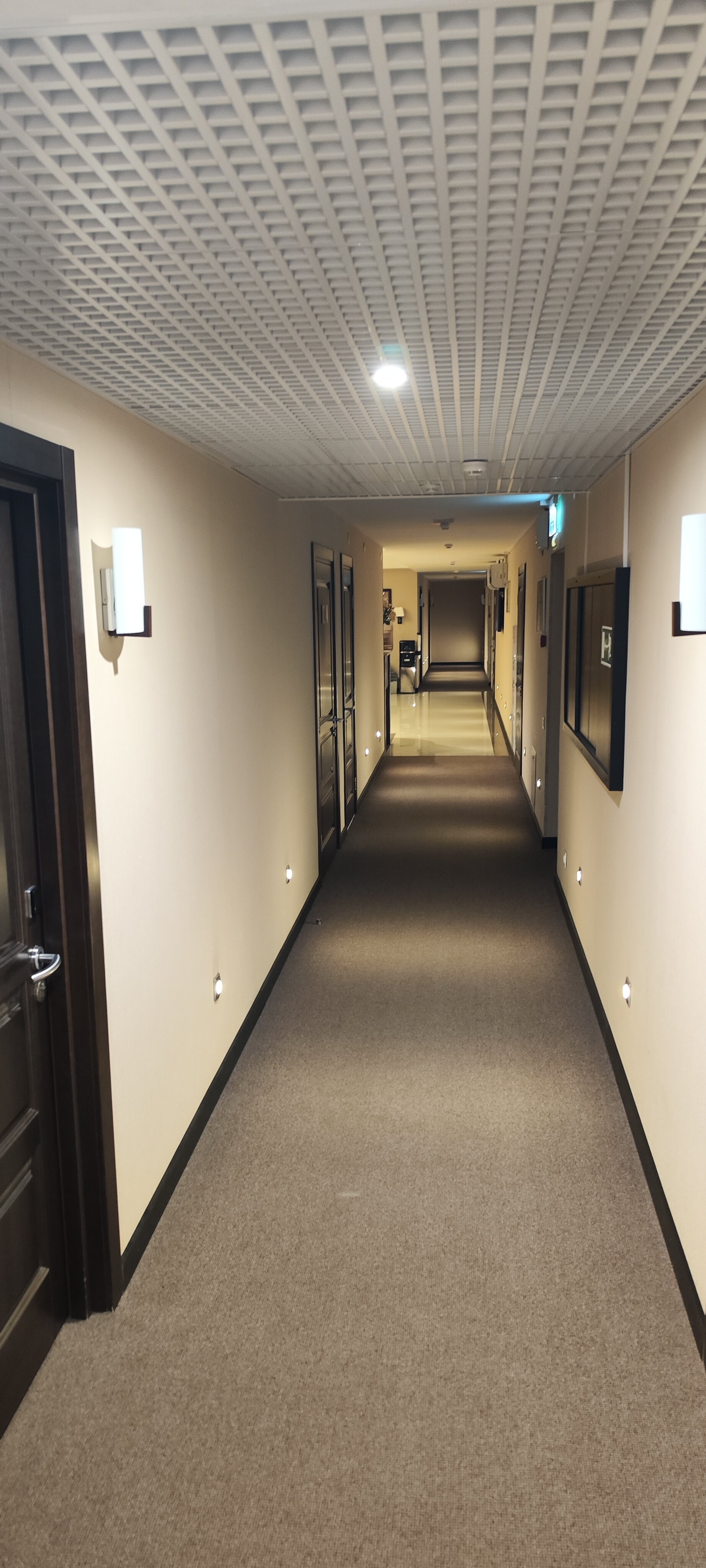 Фото Метелица