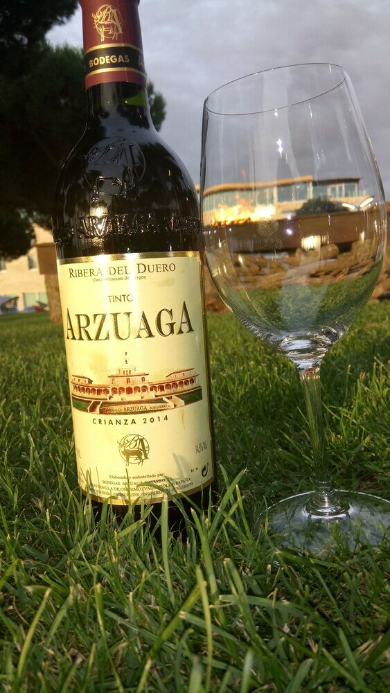 Фото Hotel & SPA Arzuaga