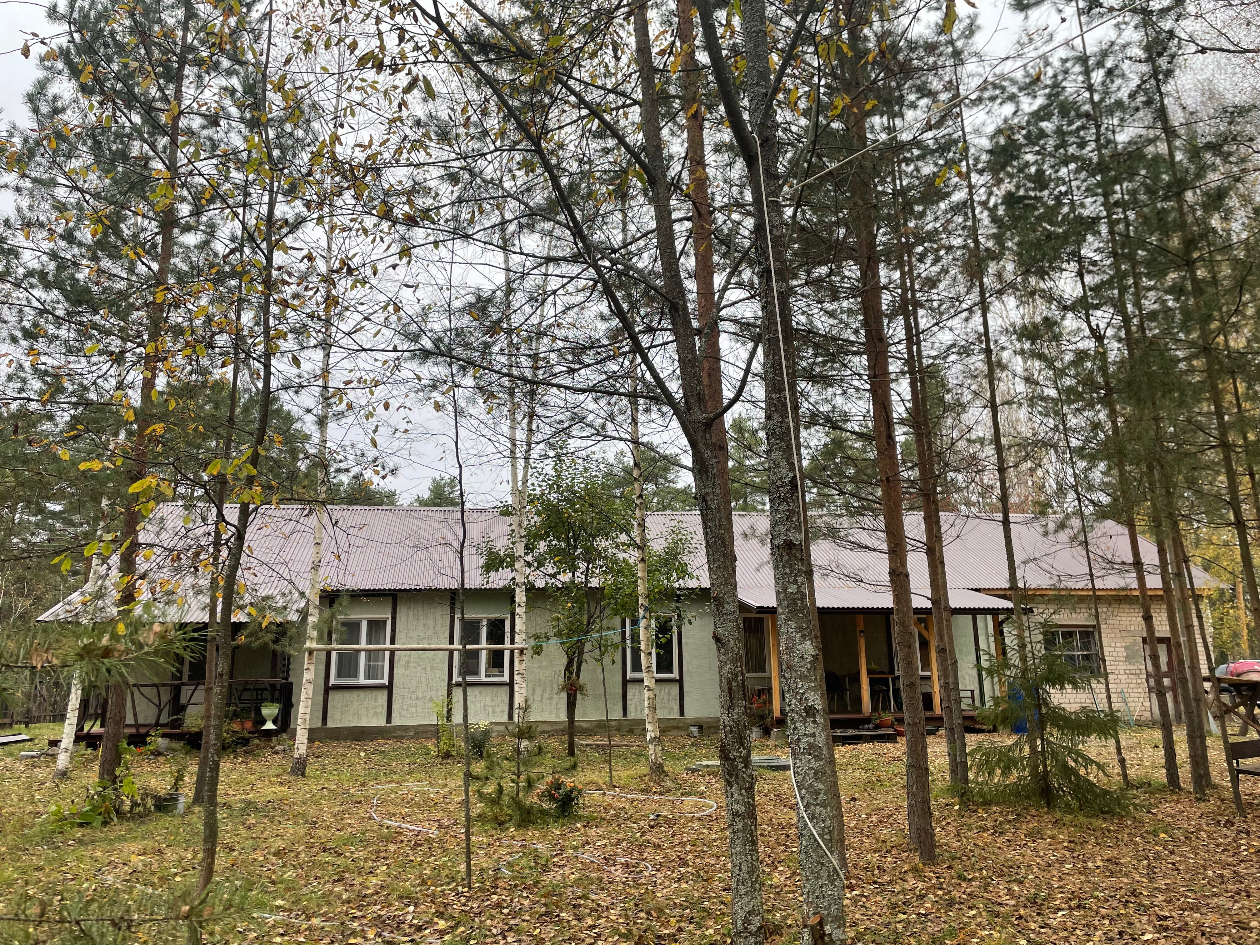 Фото Лесная пристань