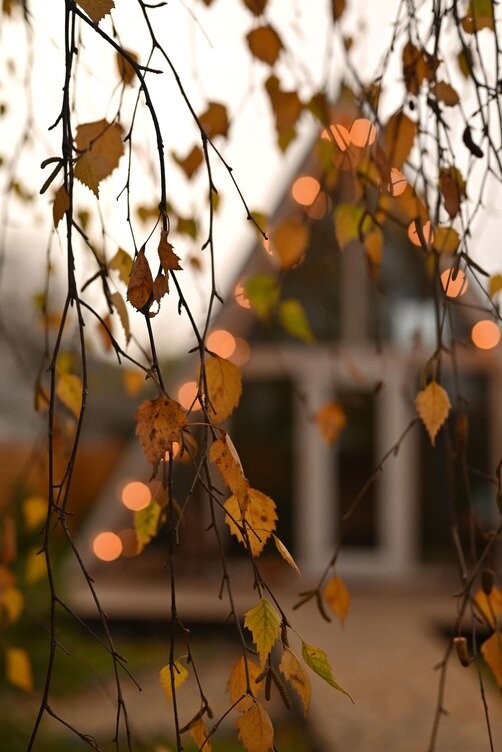 Фото Aframe Happy