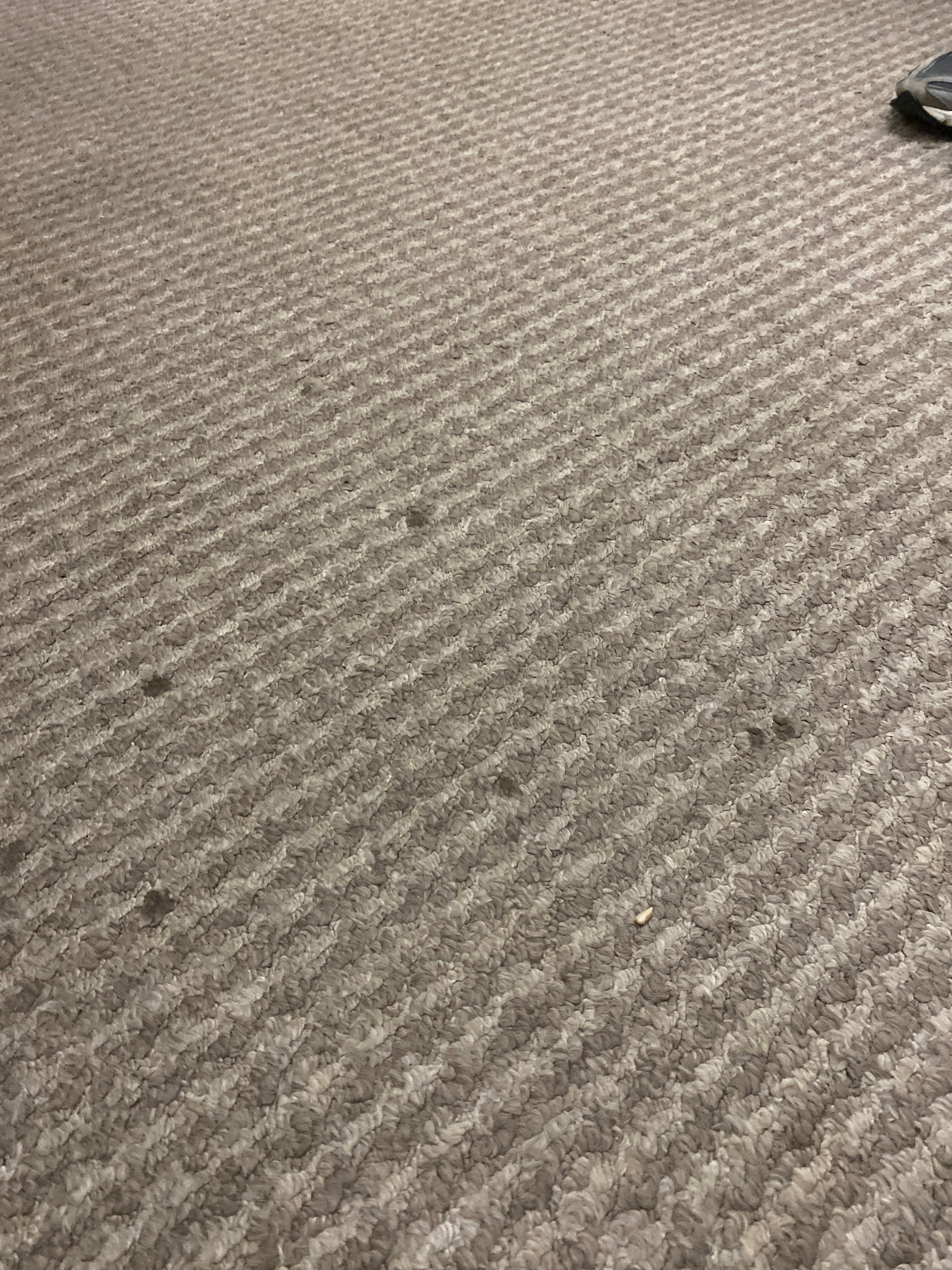 Фото Алекс Холл