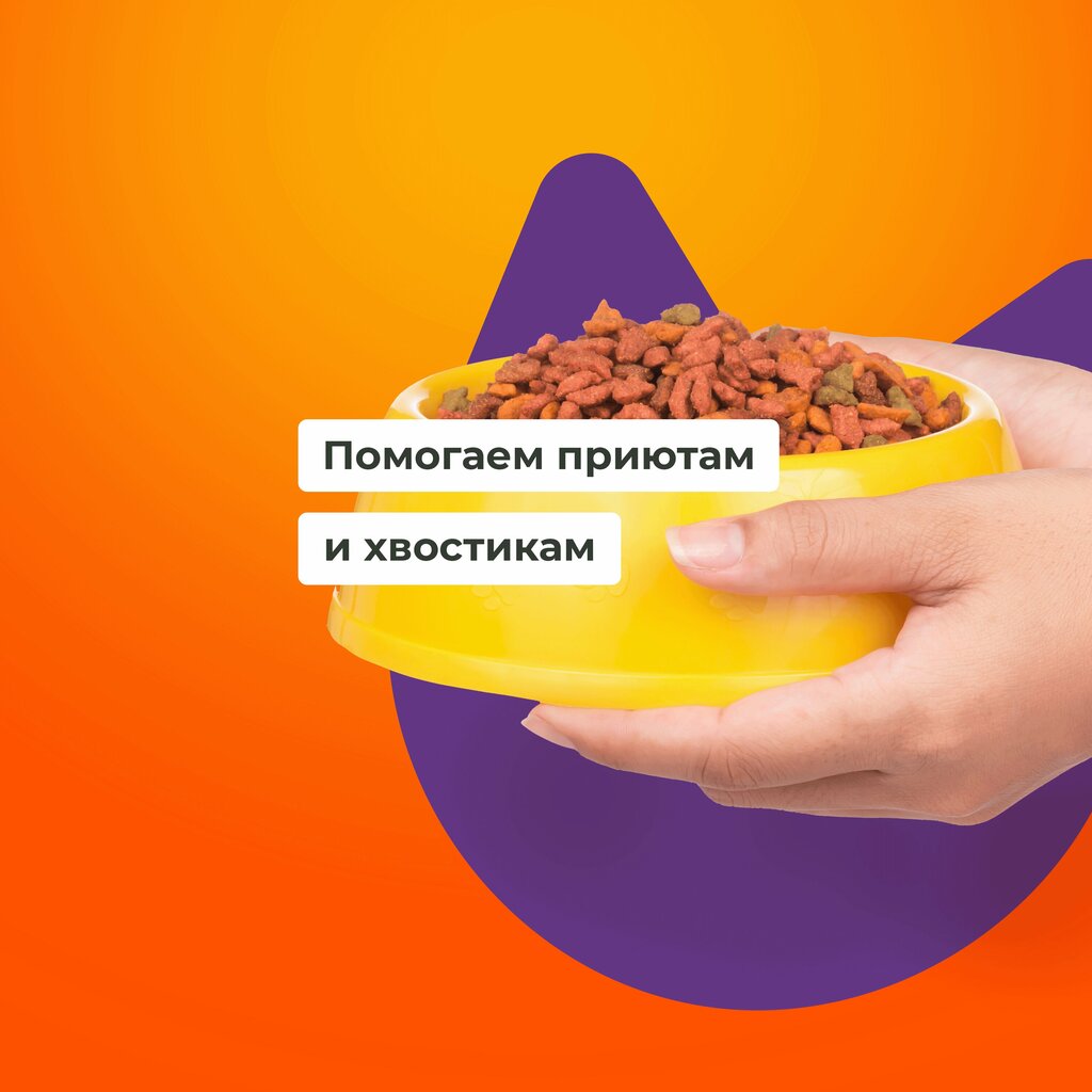 Зоомагазин Petshop.ru, Санкт‑Петербург, фото