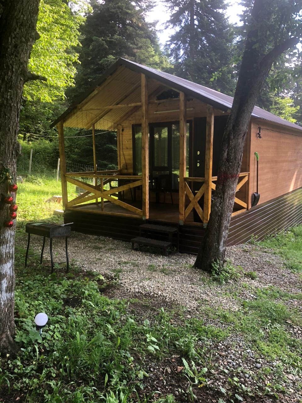 Фото Дикая Лошадь