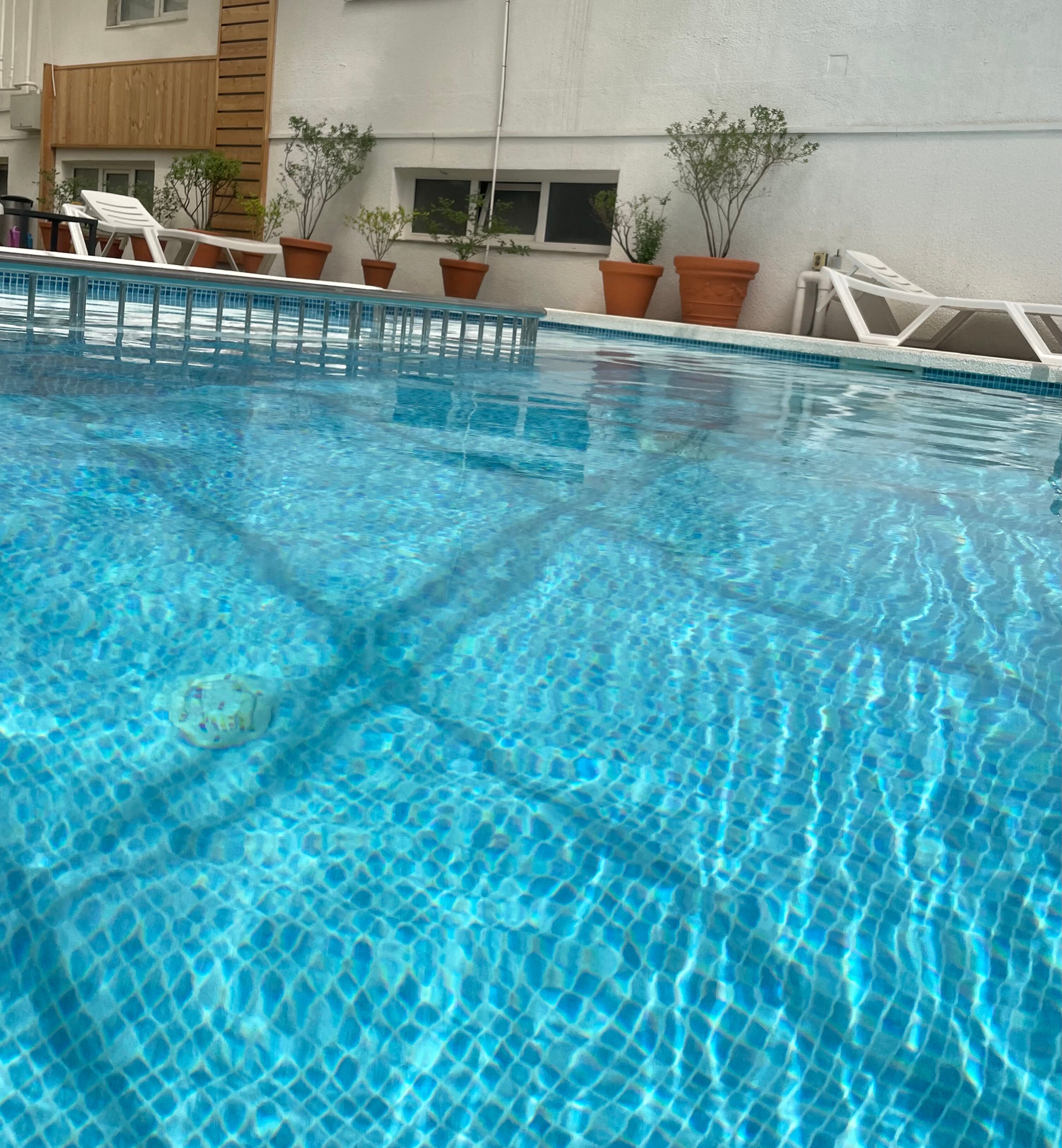 Фото Гармония