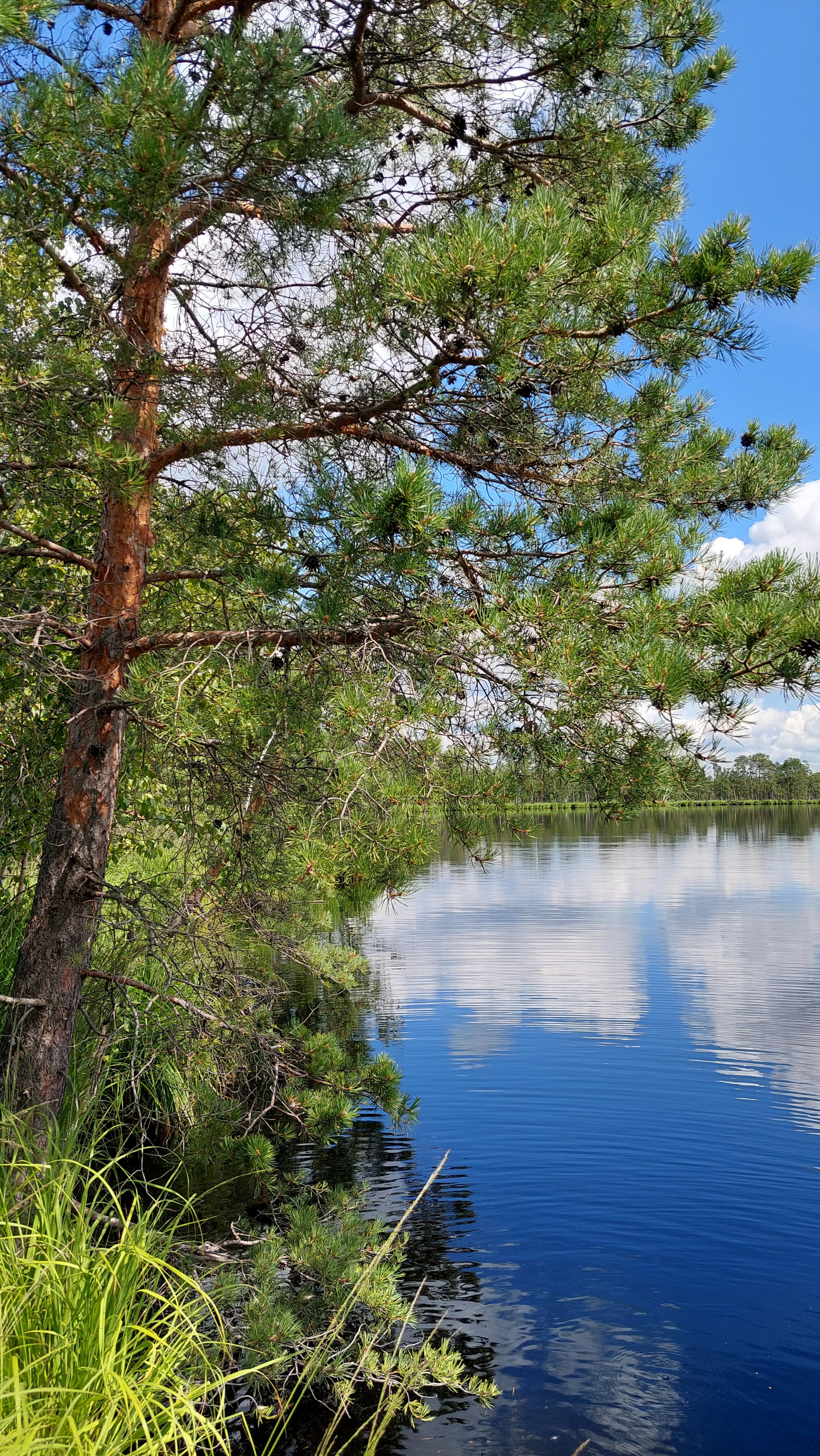 Фото Заповедник впечатлений