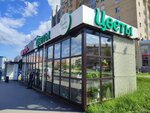 Flower house (Revolyutsii Street, 14/1), flower shop