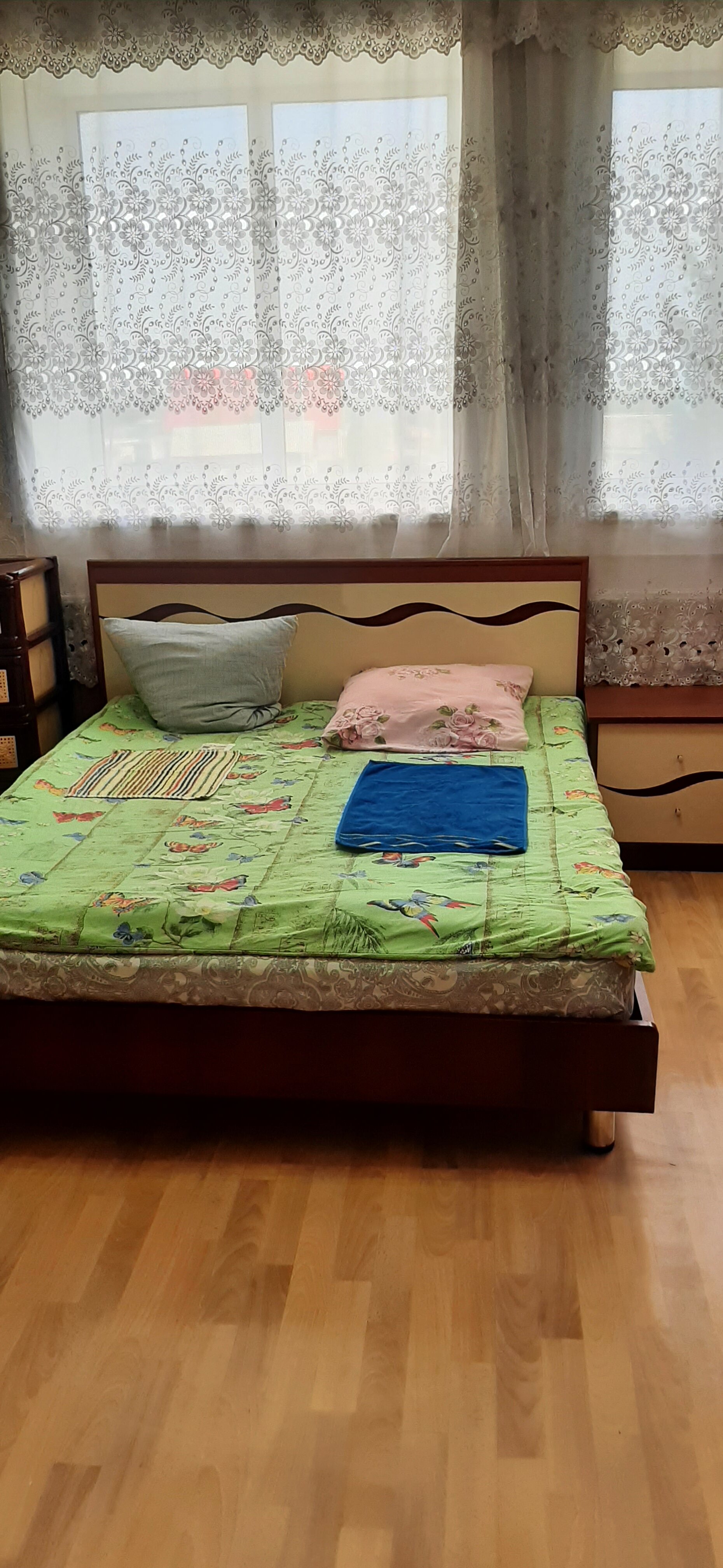 Фото Дельфин