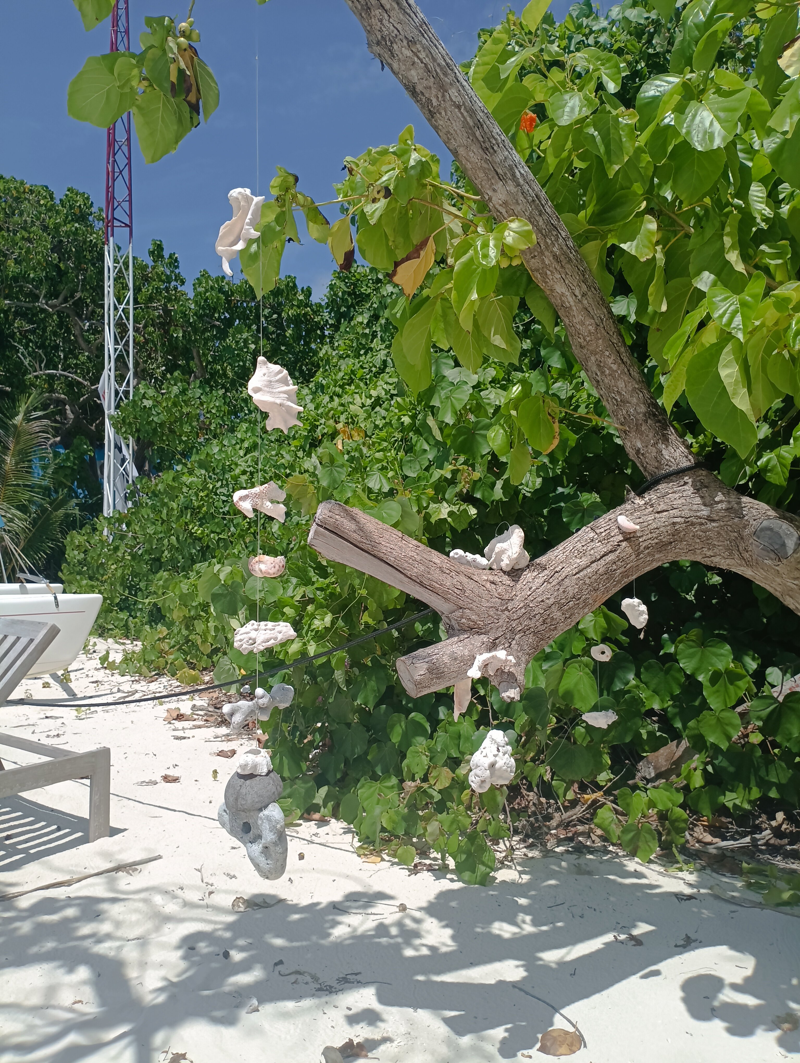 Фото Dhonfulhafi Beach View & SPA