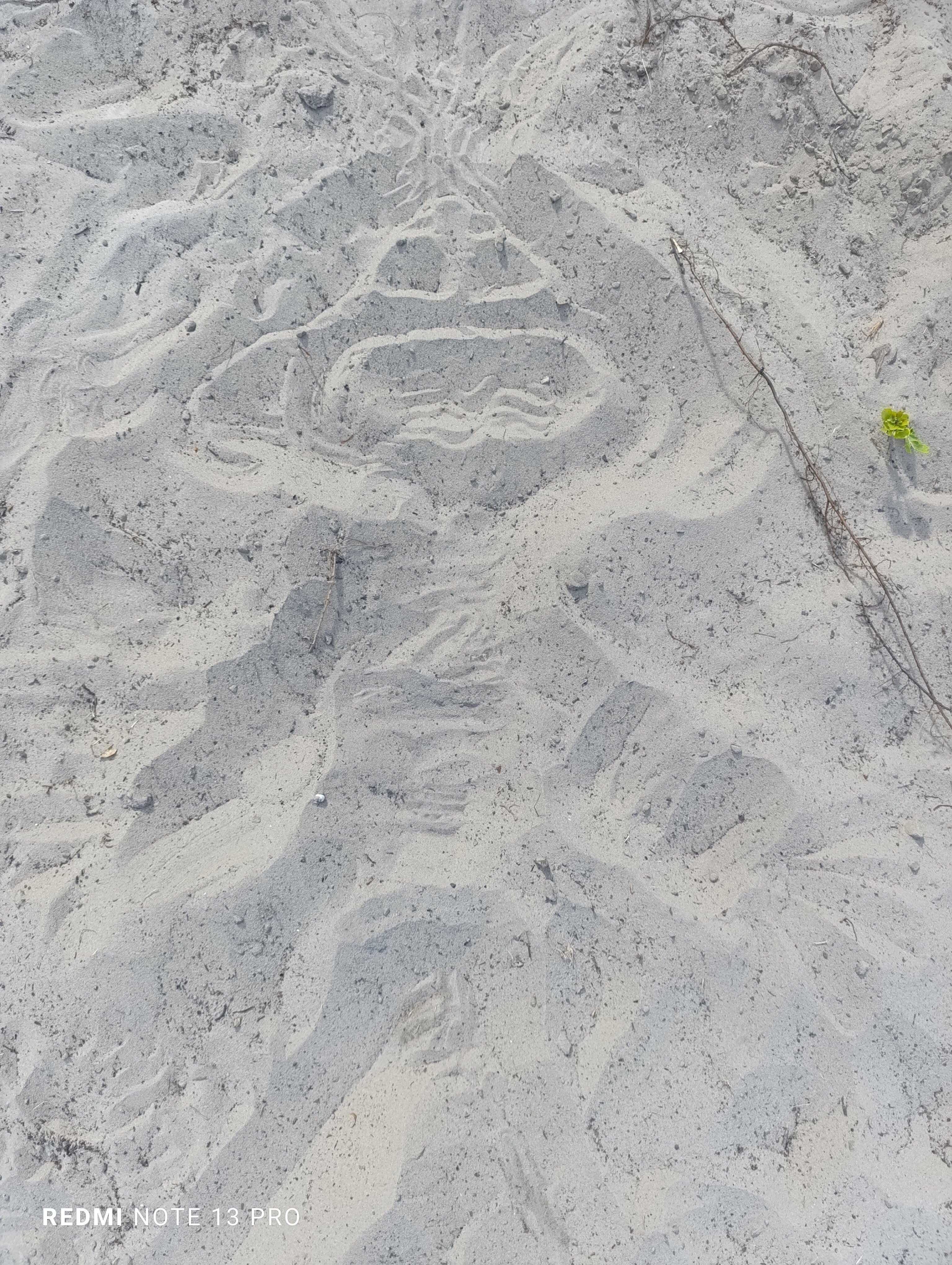 Фото Черкасский затон