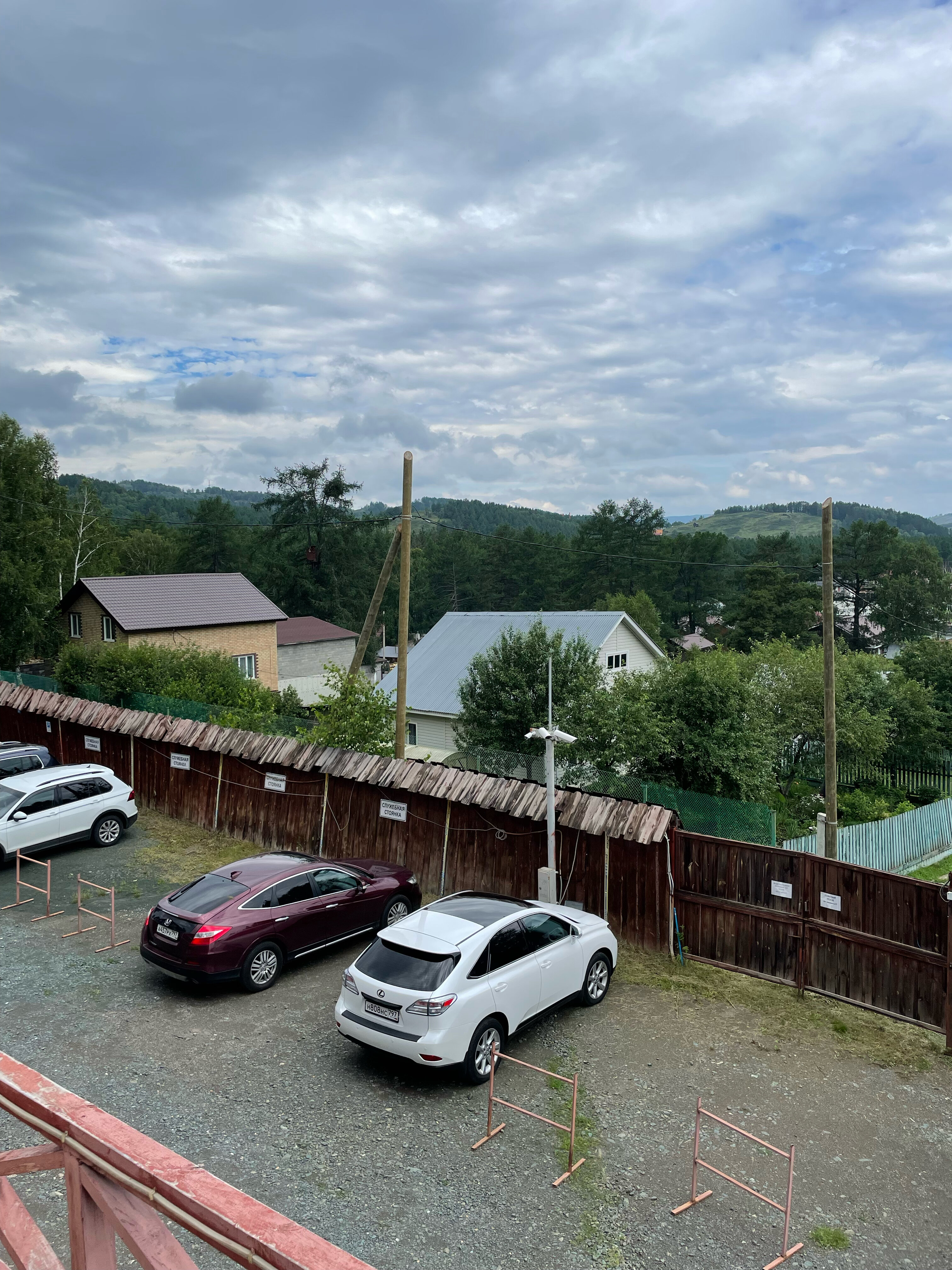 Фото 33 Медведя