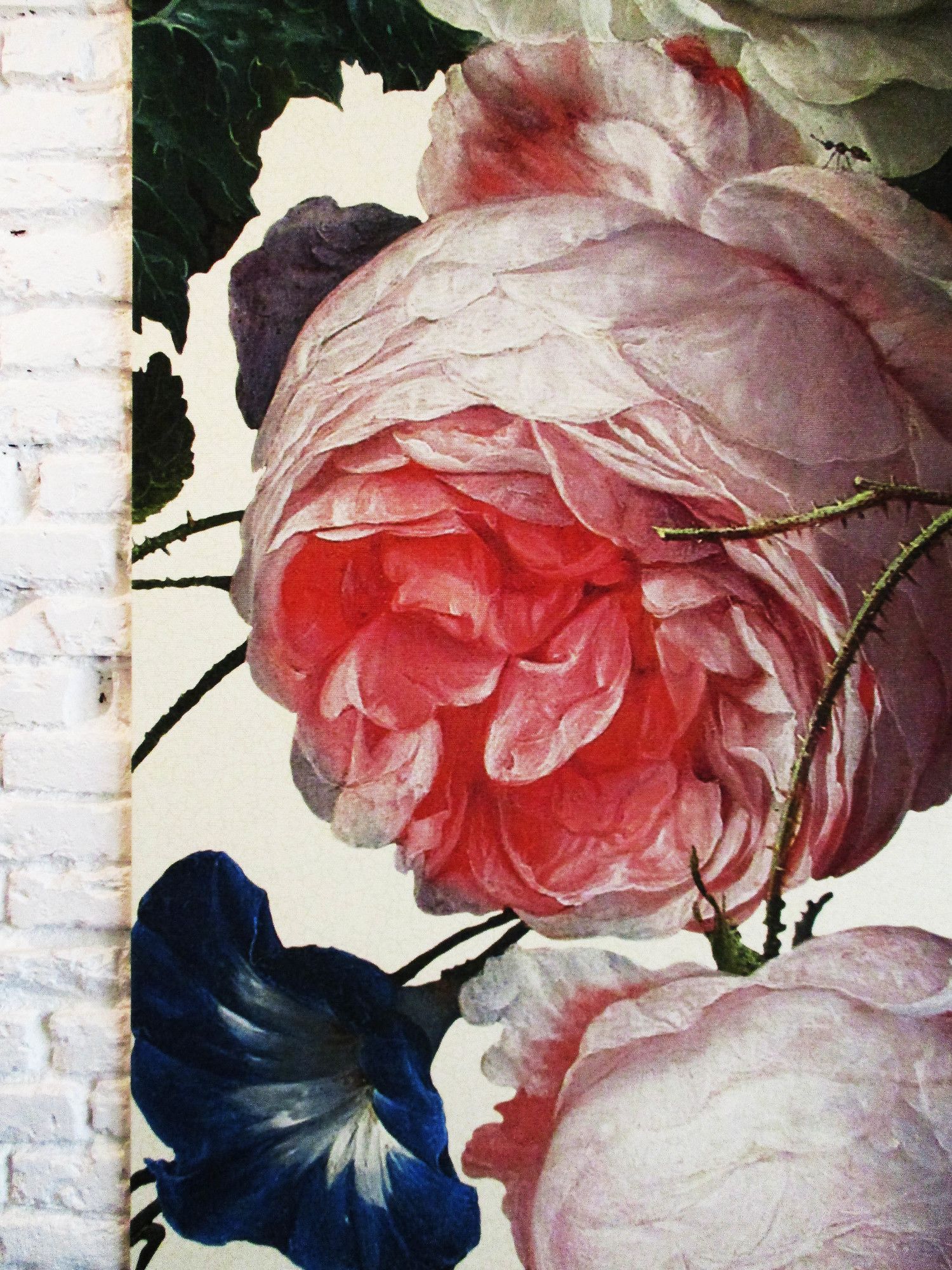 Фото 15 Quindici by Serendipity Rooms