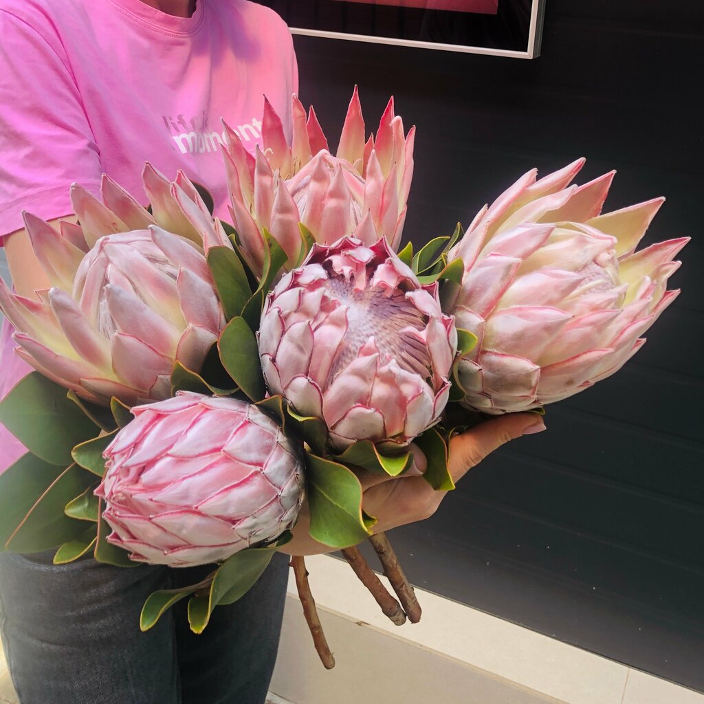 Алеся Манохина