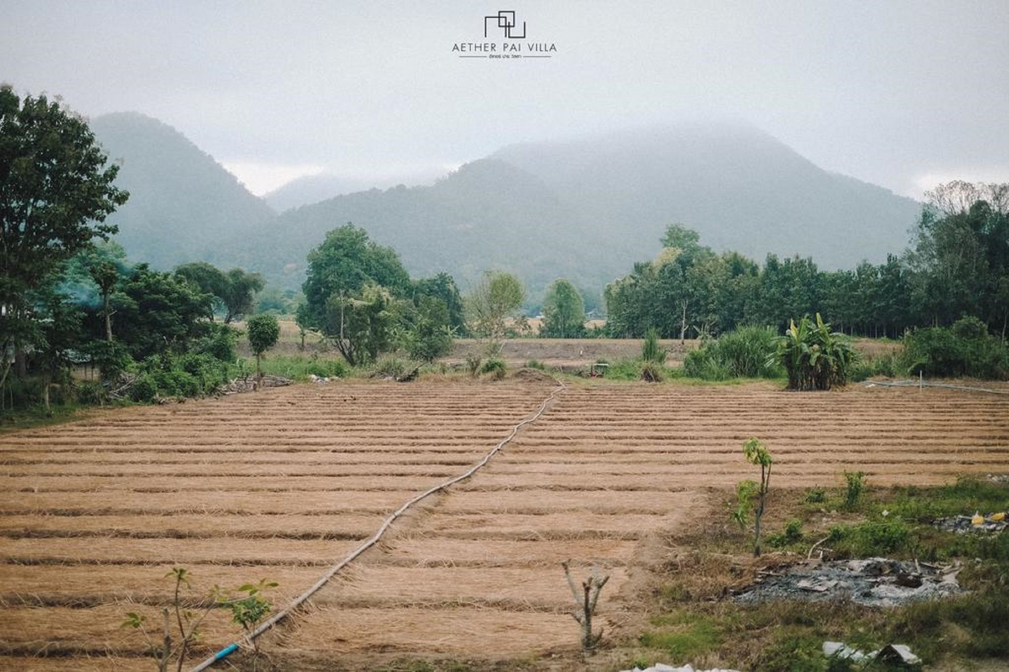 Фото Aether Pai Villa