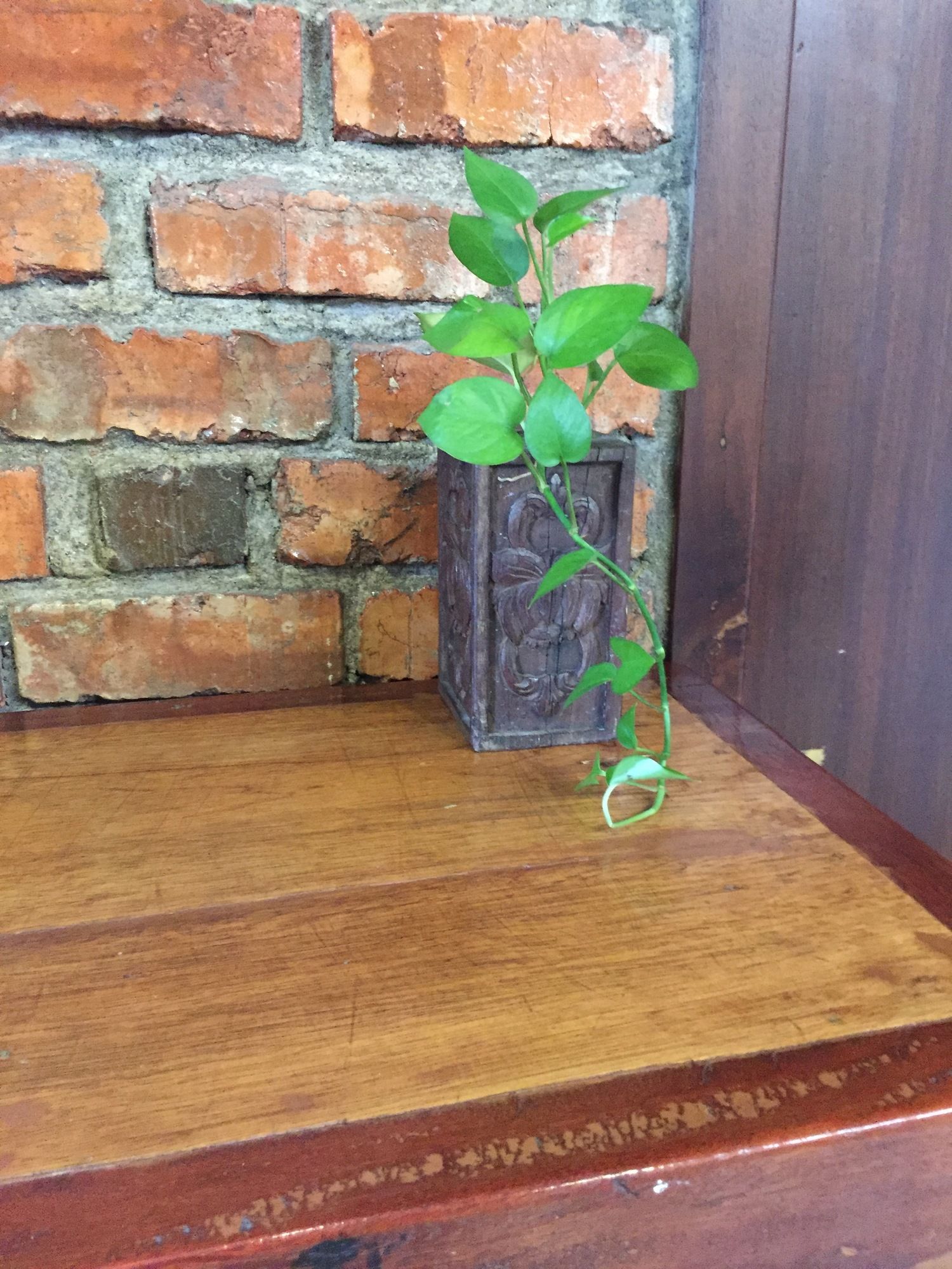 Фото Palm Mansion Boutique Suites