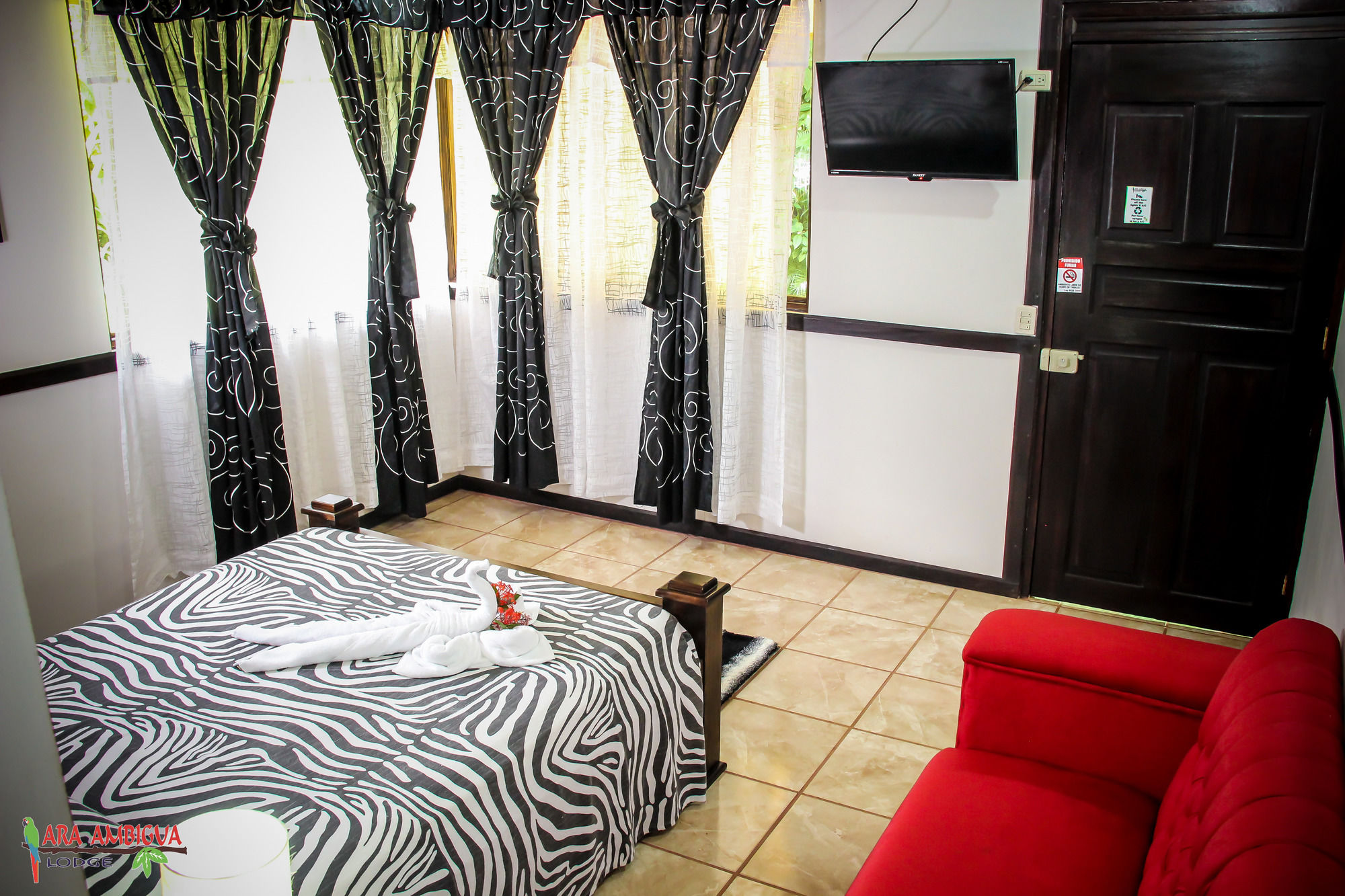 Фото Ara Ambigua Lodge