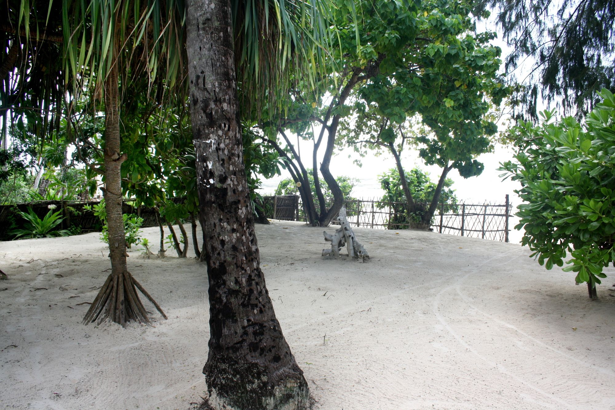 Фото Kimte Beach Lodge