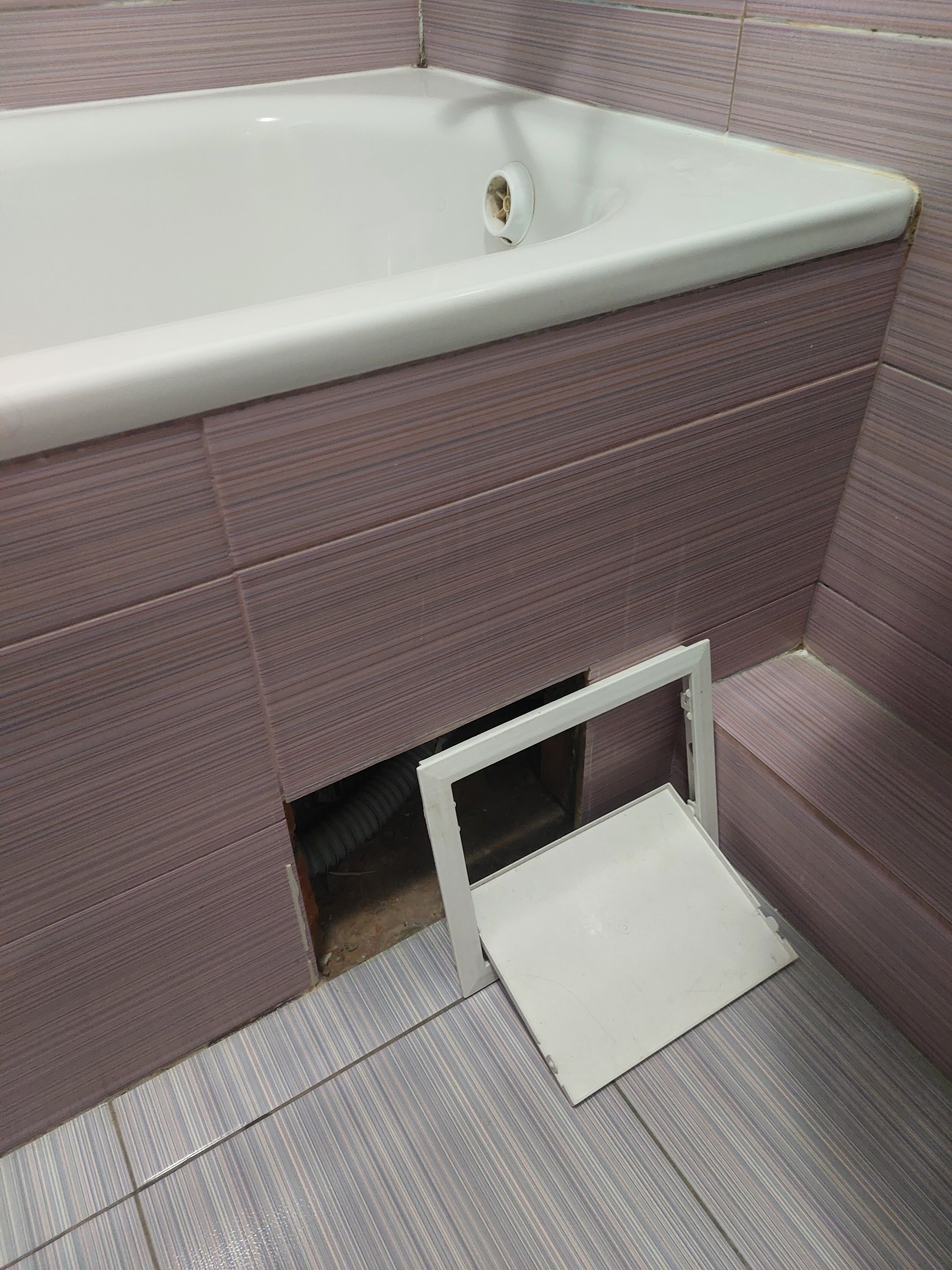 Фото Аврора