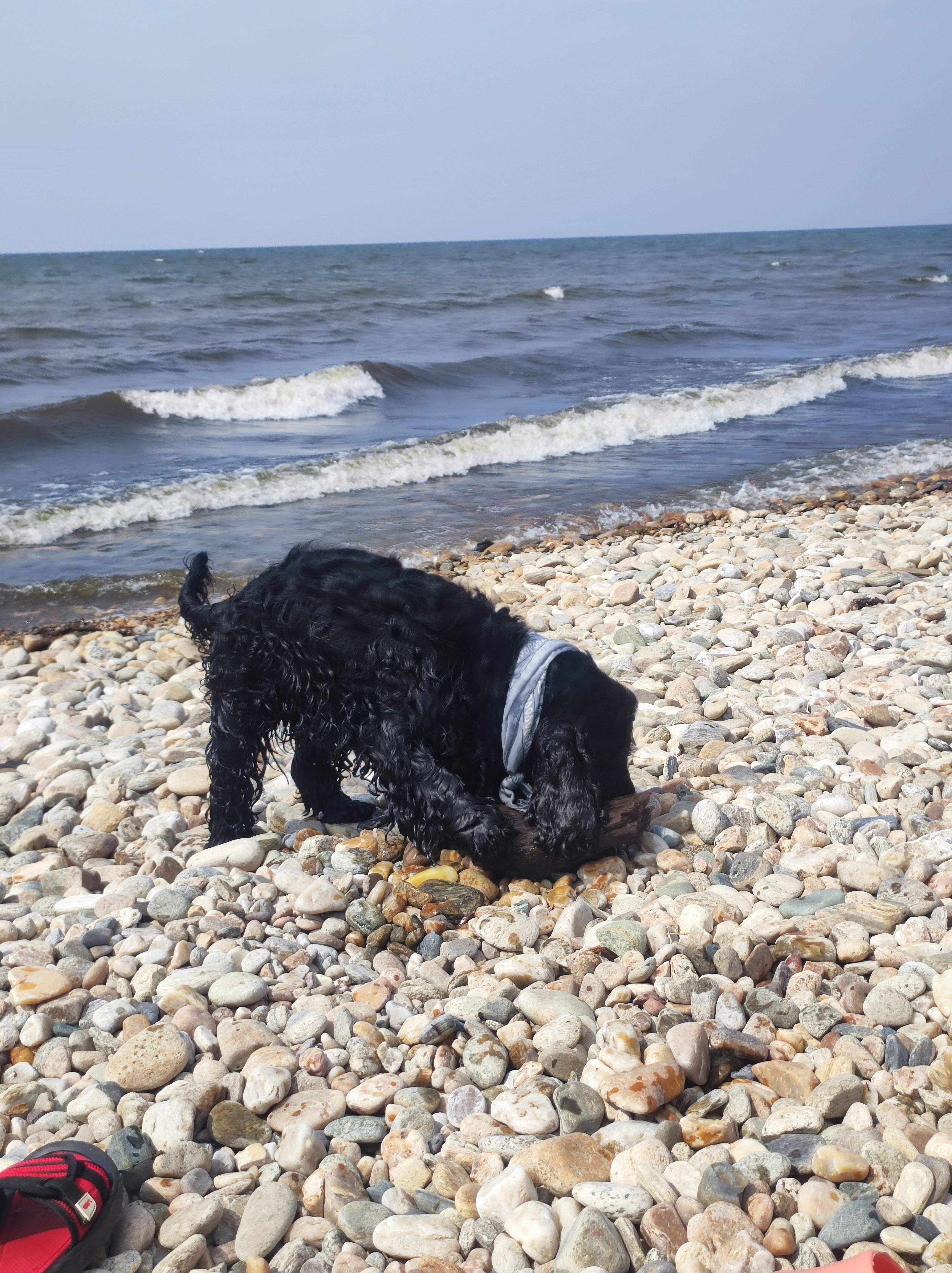 Фото Парк Сагаан Морин