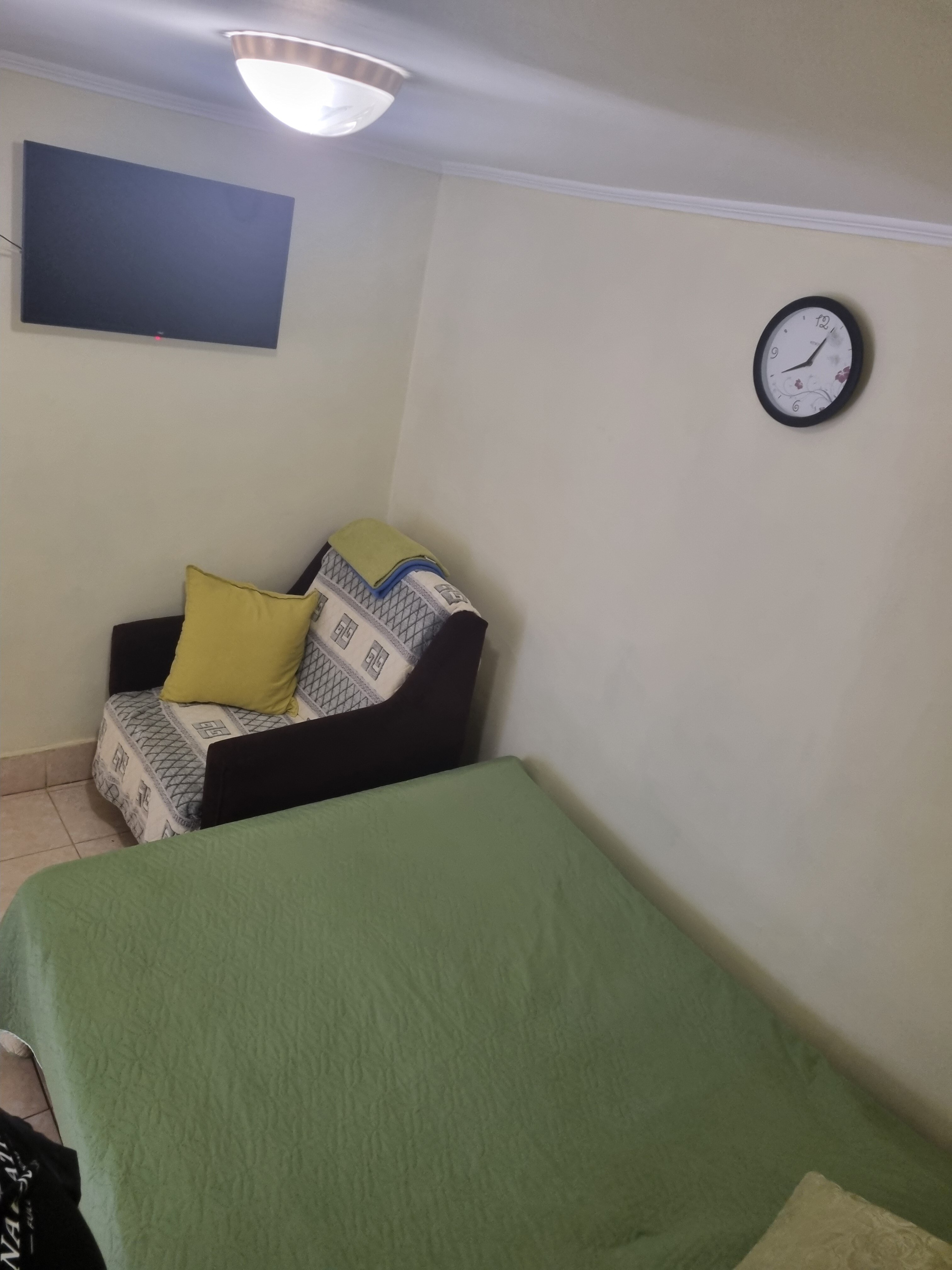 Фото Абрикос