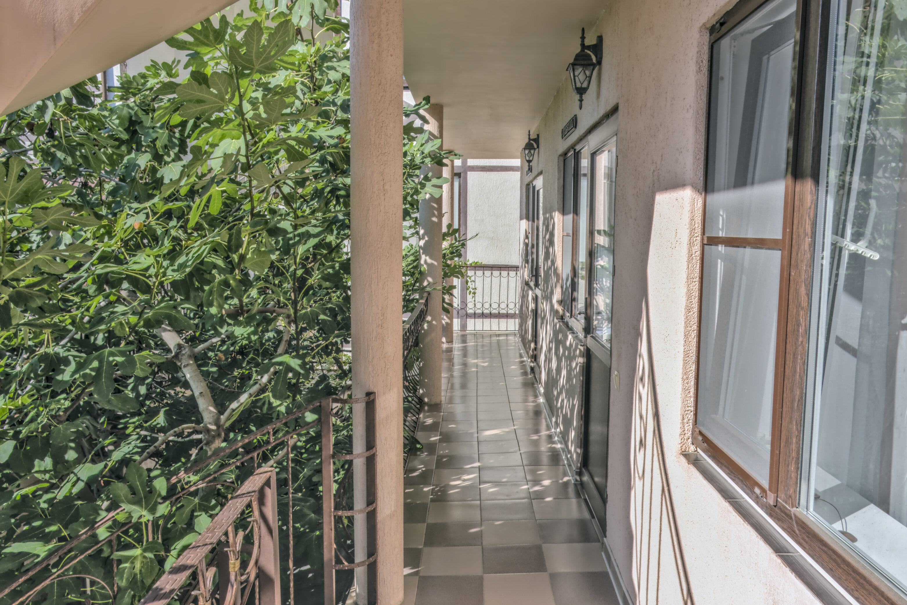 Фото Виноградная лестница