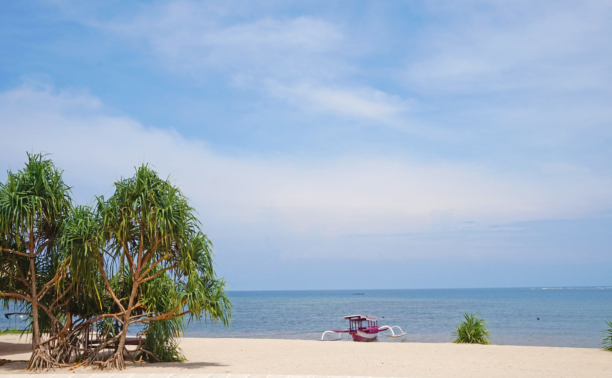 Фото Anema Wellness & Resort