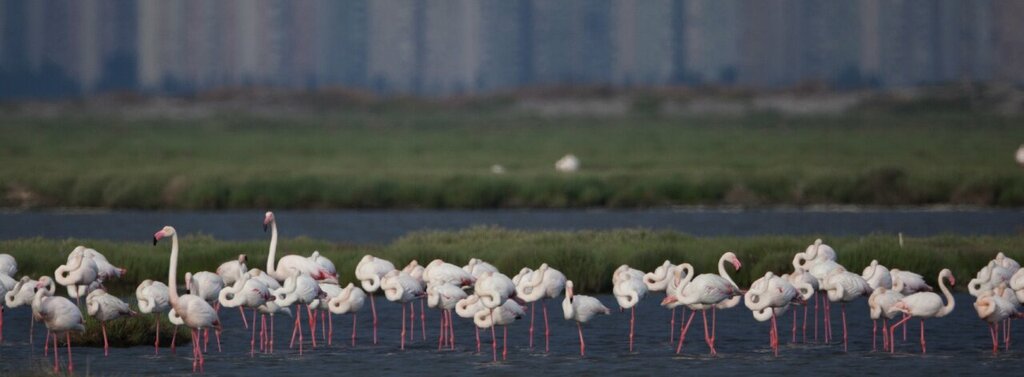 Associations and industrial unions Doğa Derneği, Seferihisar, photo