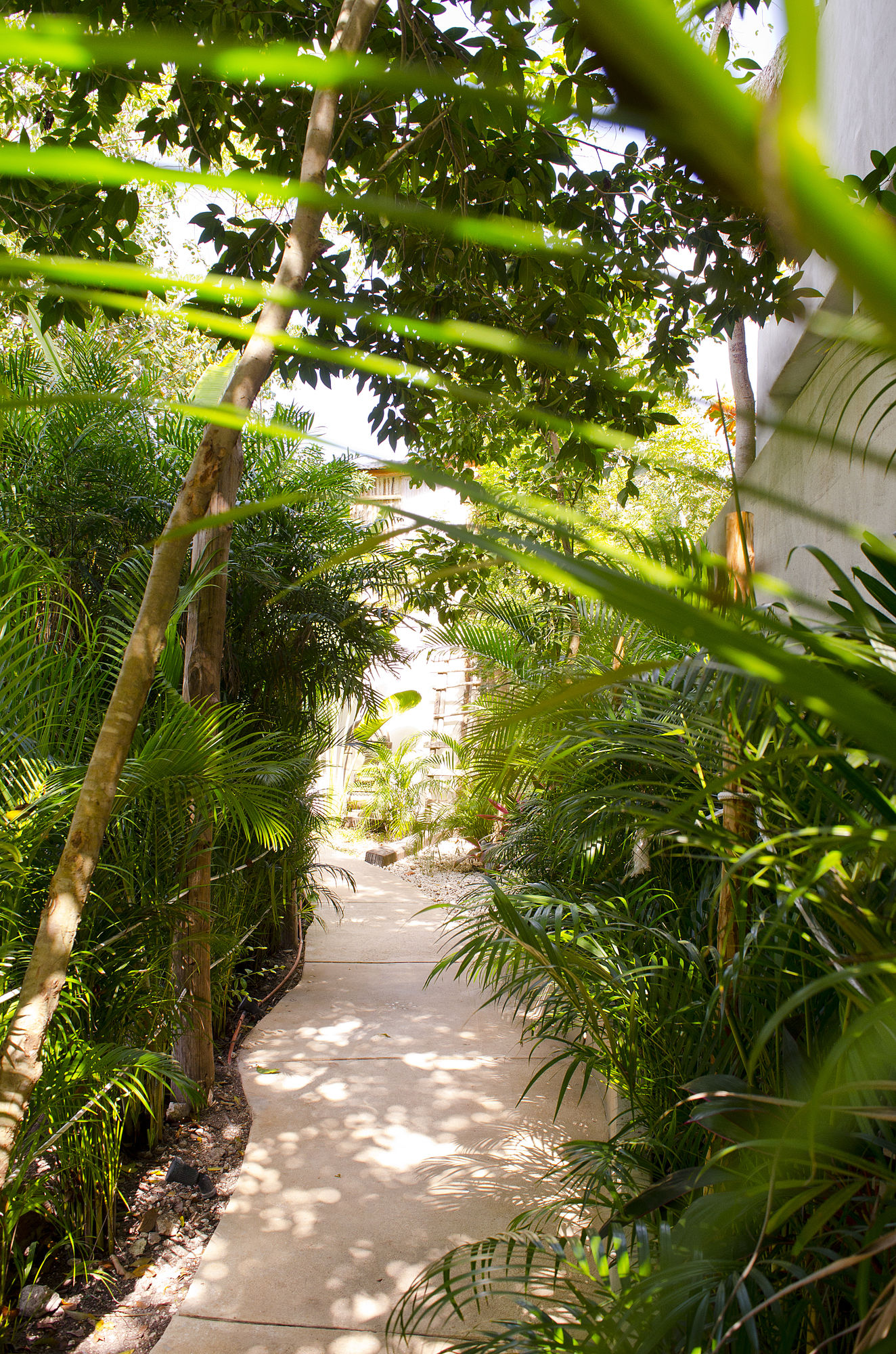 Фото Casa Tulum