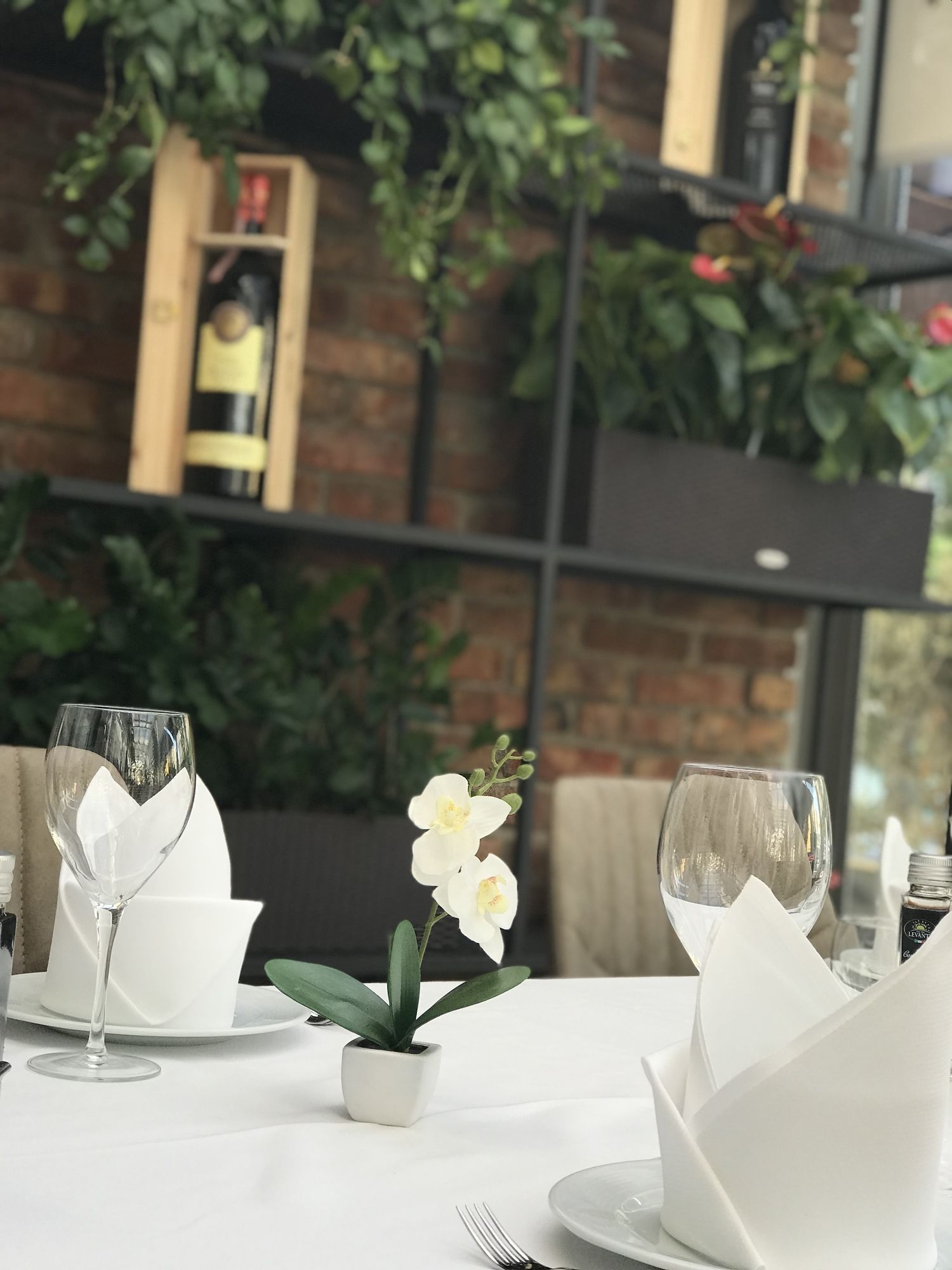 Фото Hotel Colosseo Tirana