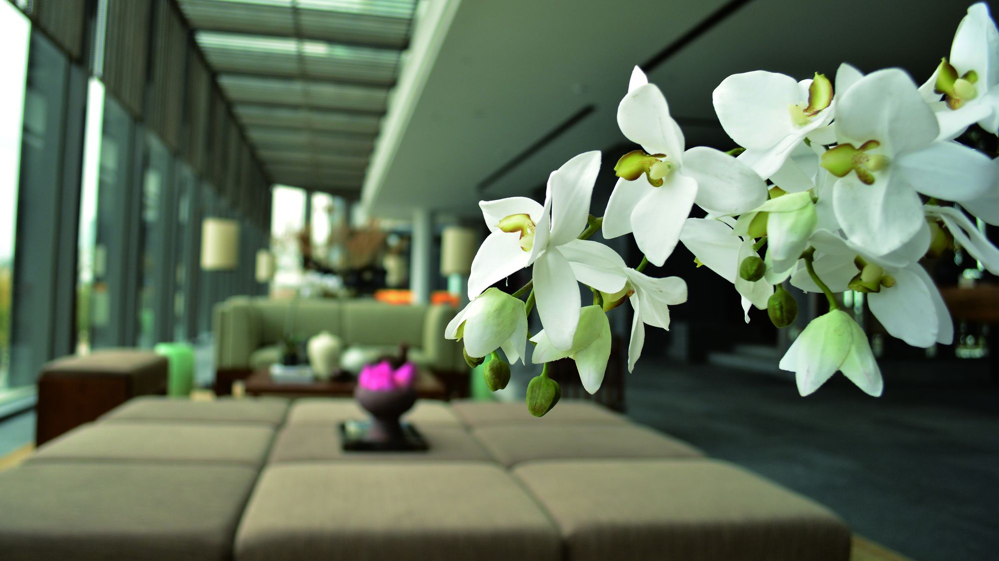 Фото Hotel Indigo Dali Erhai