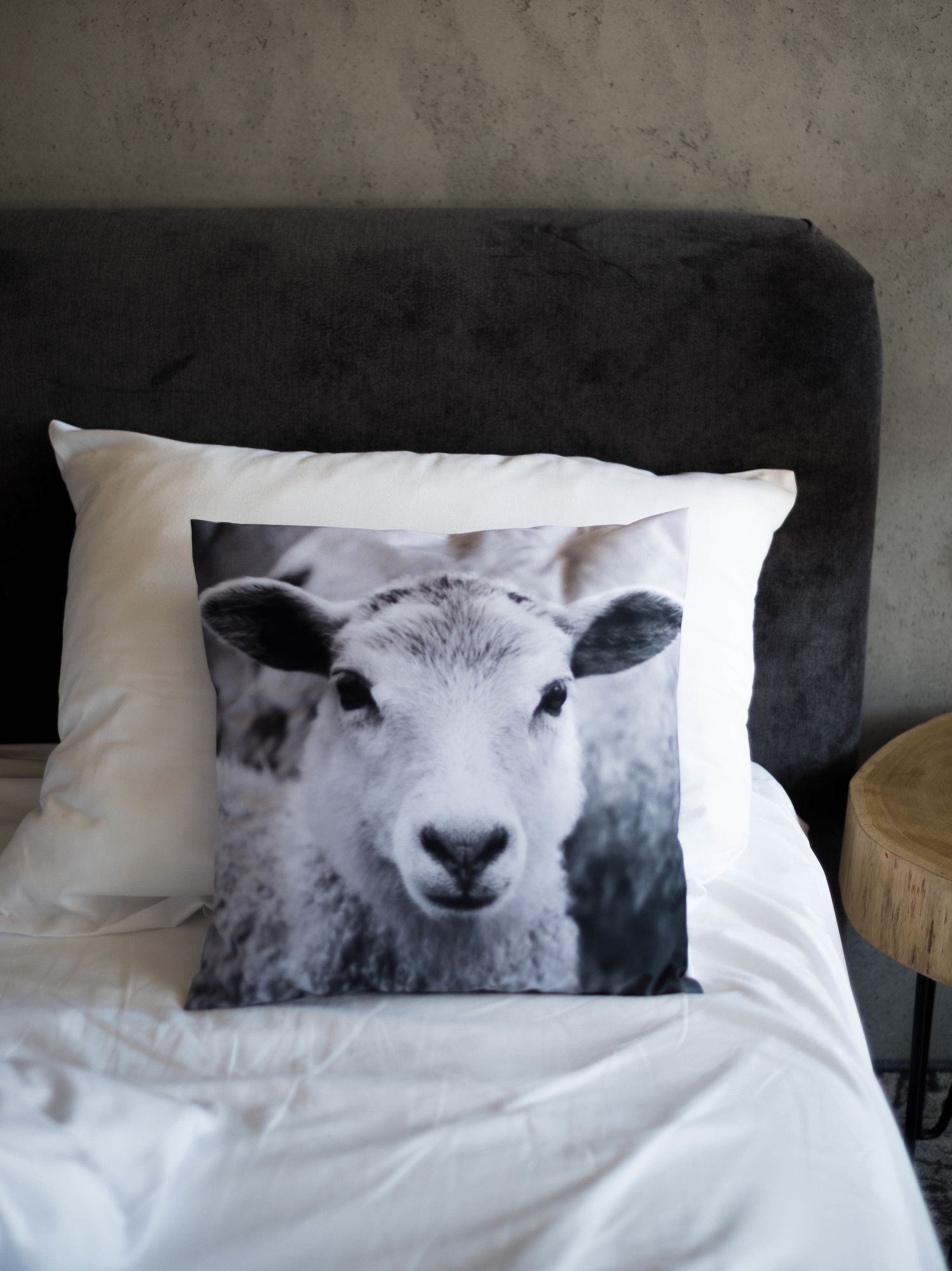 Фото Biała Owca