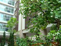 Фото Bangkok Living