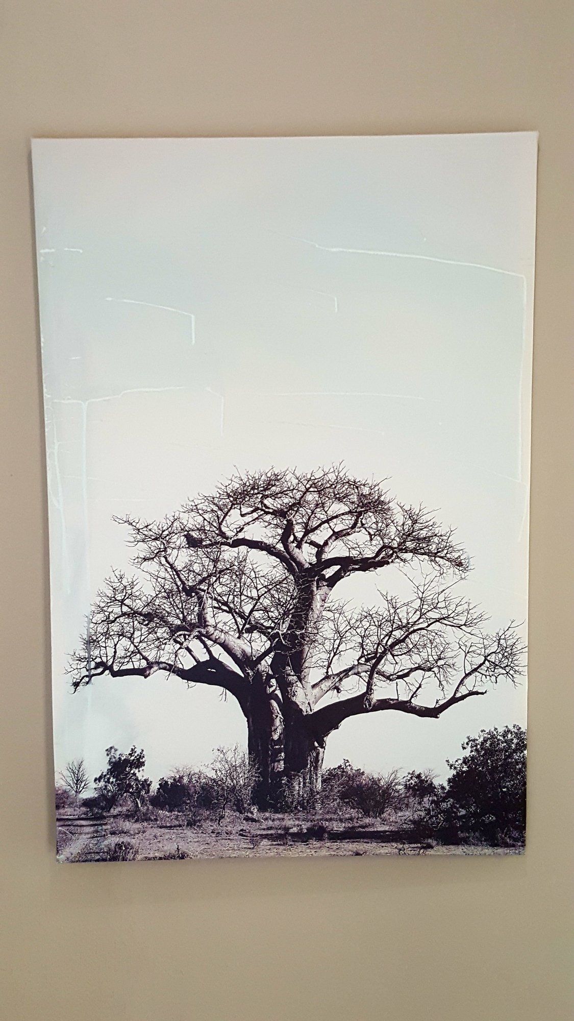 Фото Aerotropolis Guest Lodge