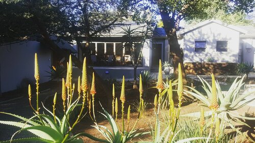 Внешний вид отеля Aerotropolis Guest Lodge в Кемптон-Парке, фото 5