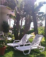 Фото Flamingo Inn Beachfront